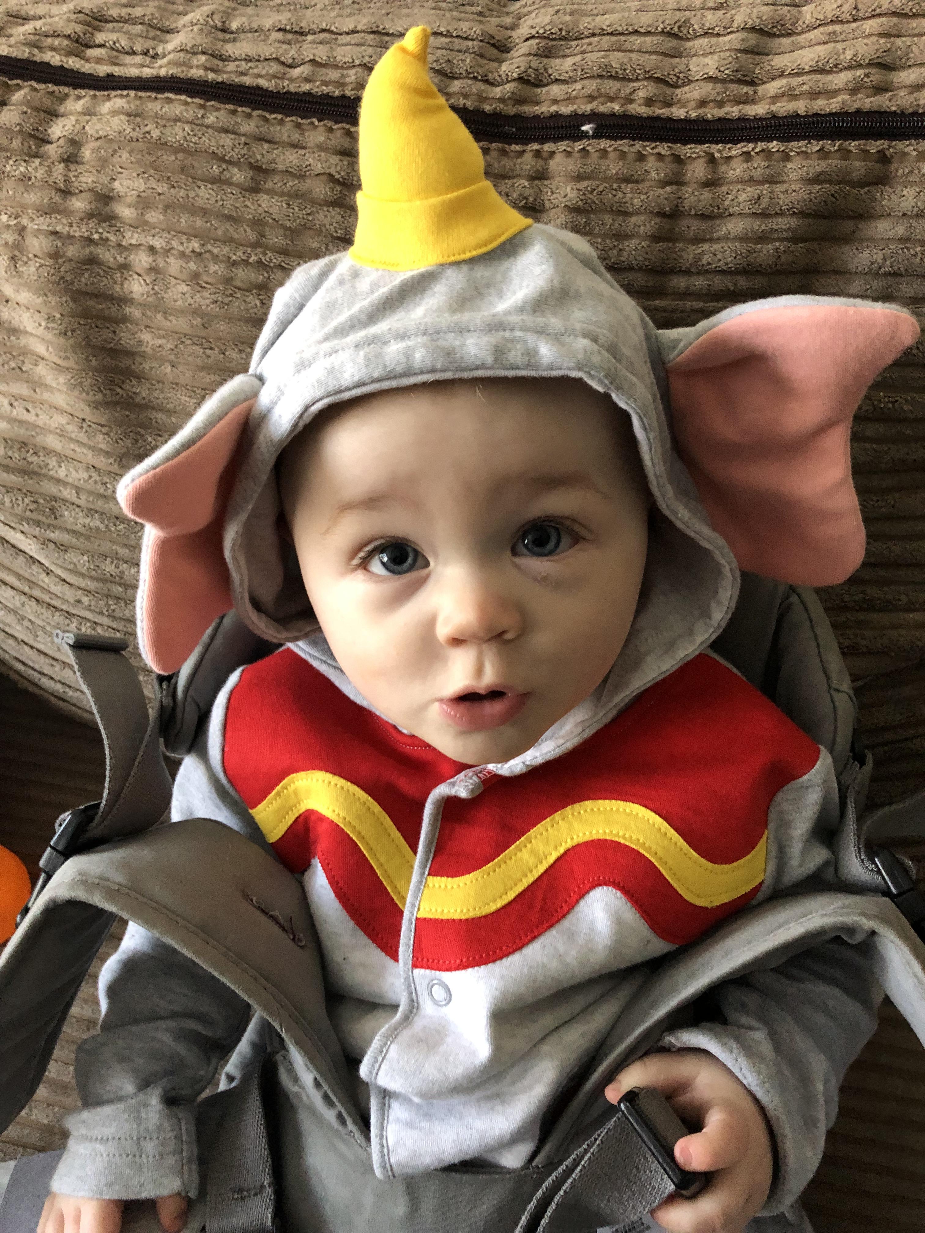 1300 best Dumbo images on Pholder Aww, Interestingasfuck and