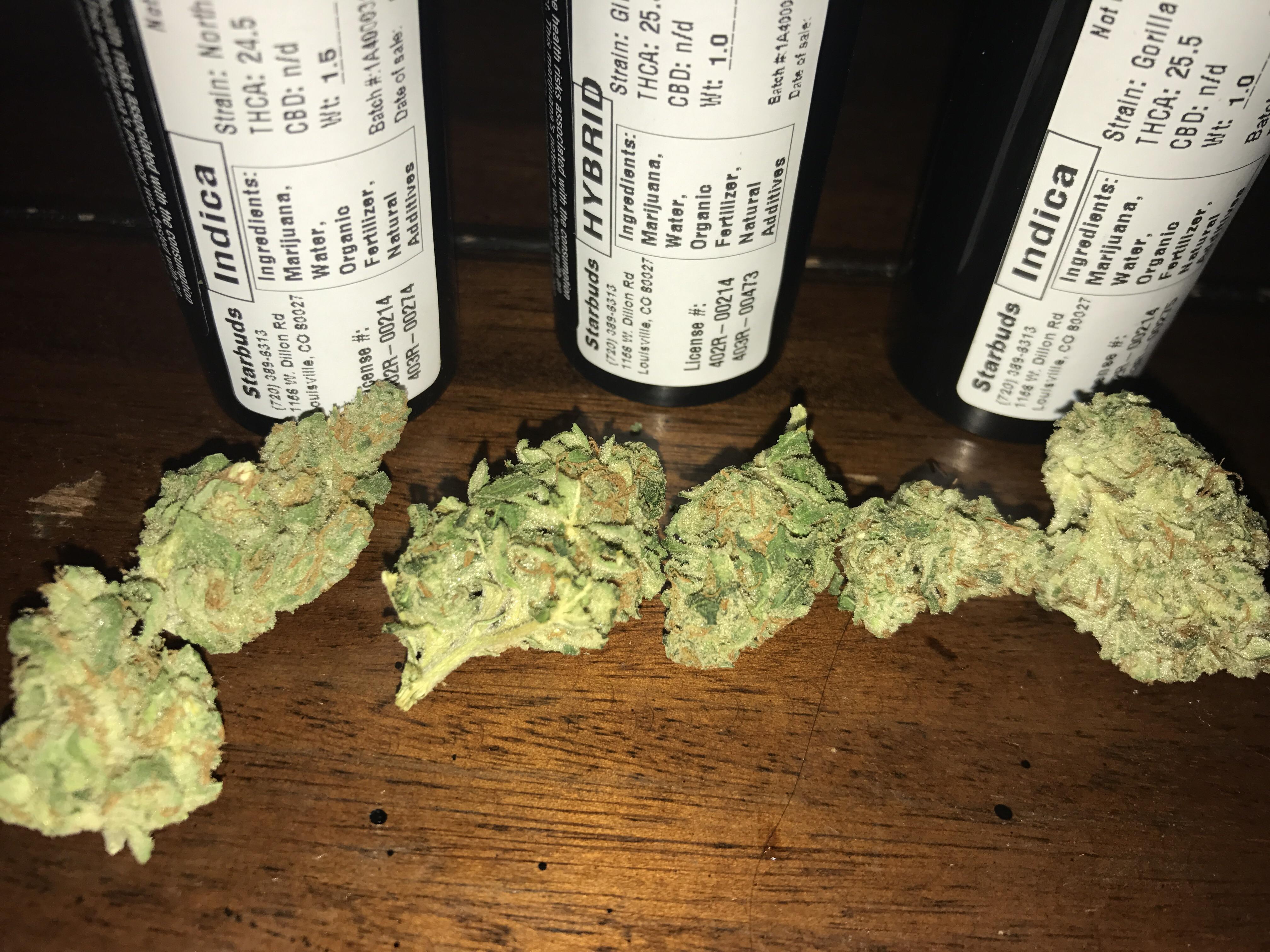 Northern Lights, Girl Scout Cookies, and Gorilla Glue 4 r/trees