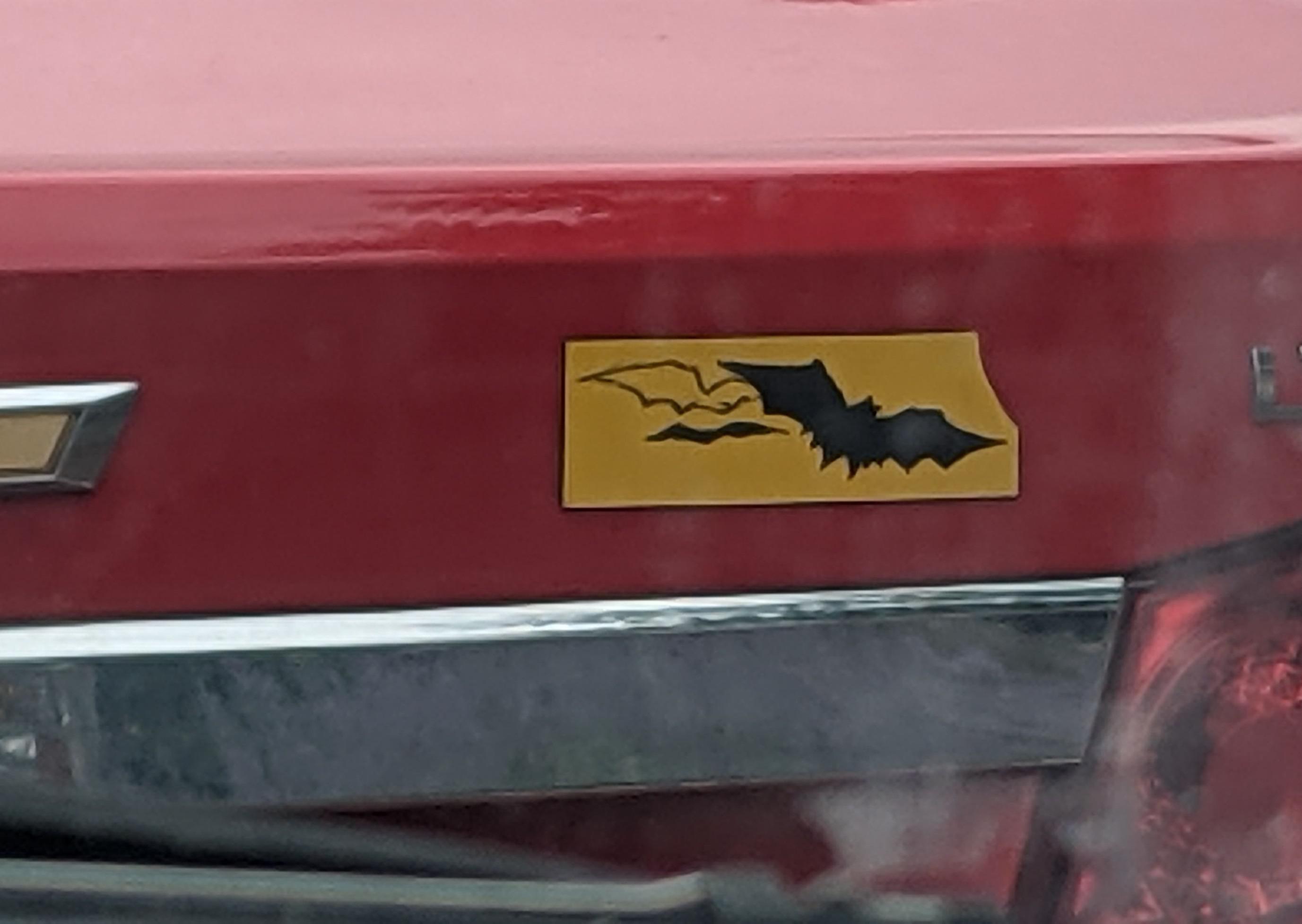 Can someone tell me what this bumper sticker is? I've seen them for