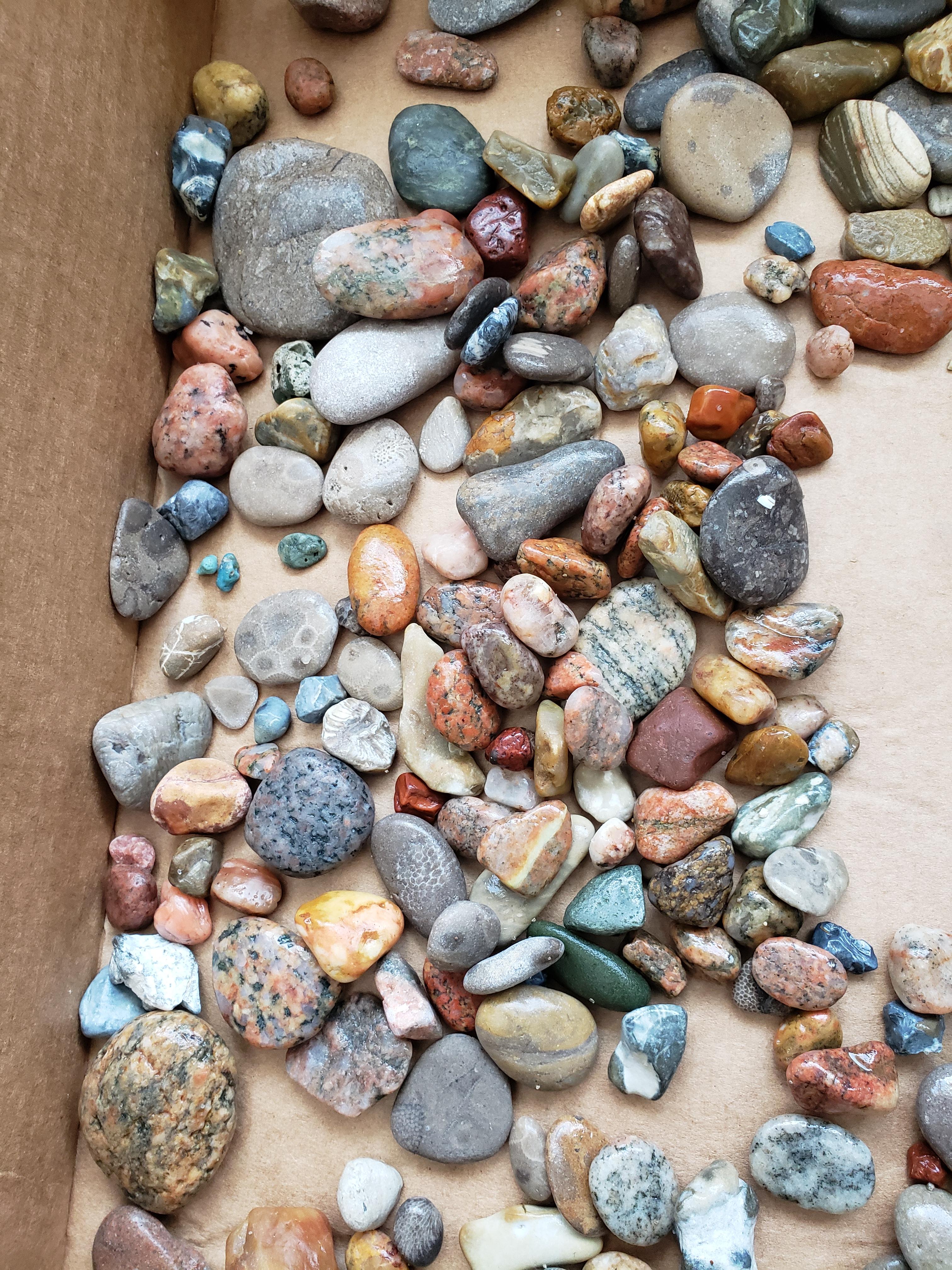 Lake Michigan potpourri r/rockhounds