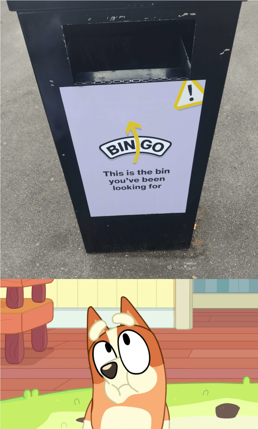Bingo r/bluey