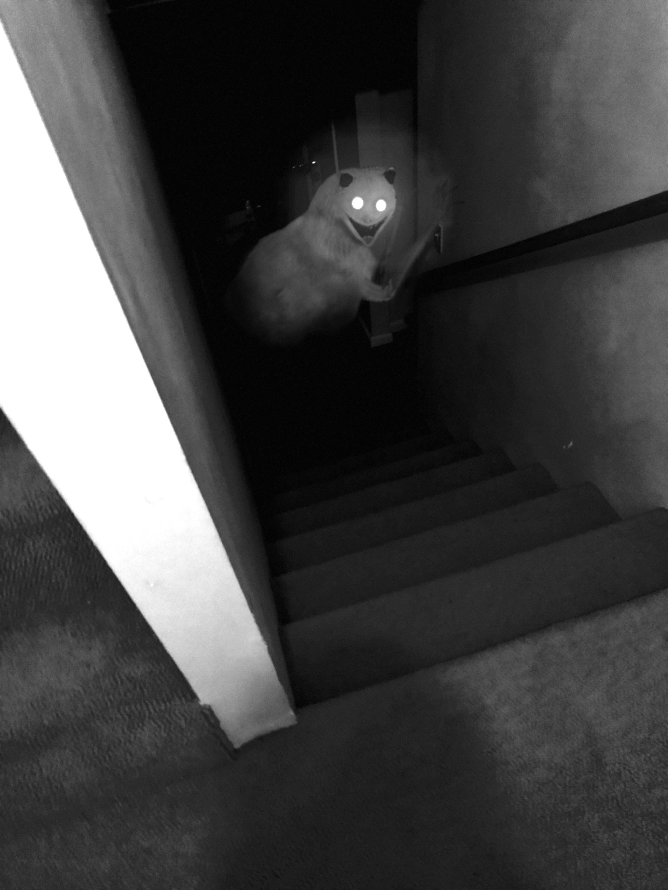 “I’ve heard an awfully loud screeching sound, so I checked downstairs