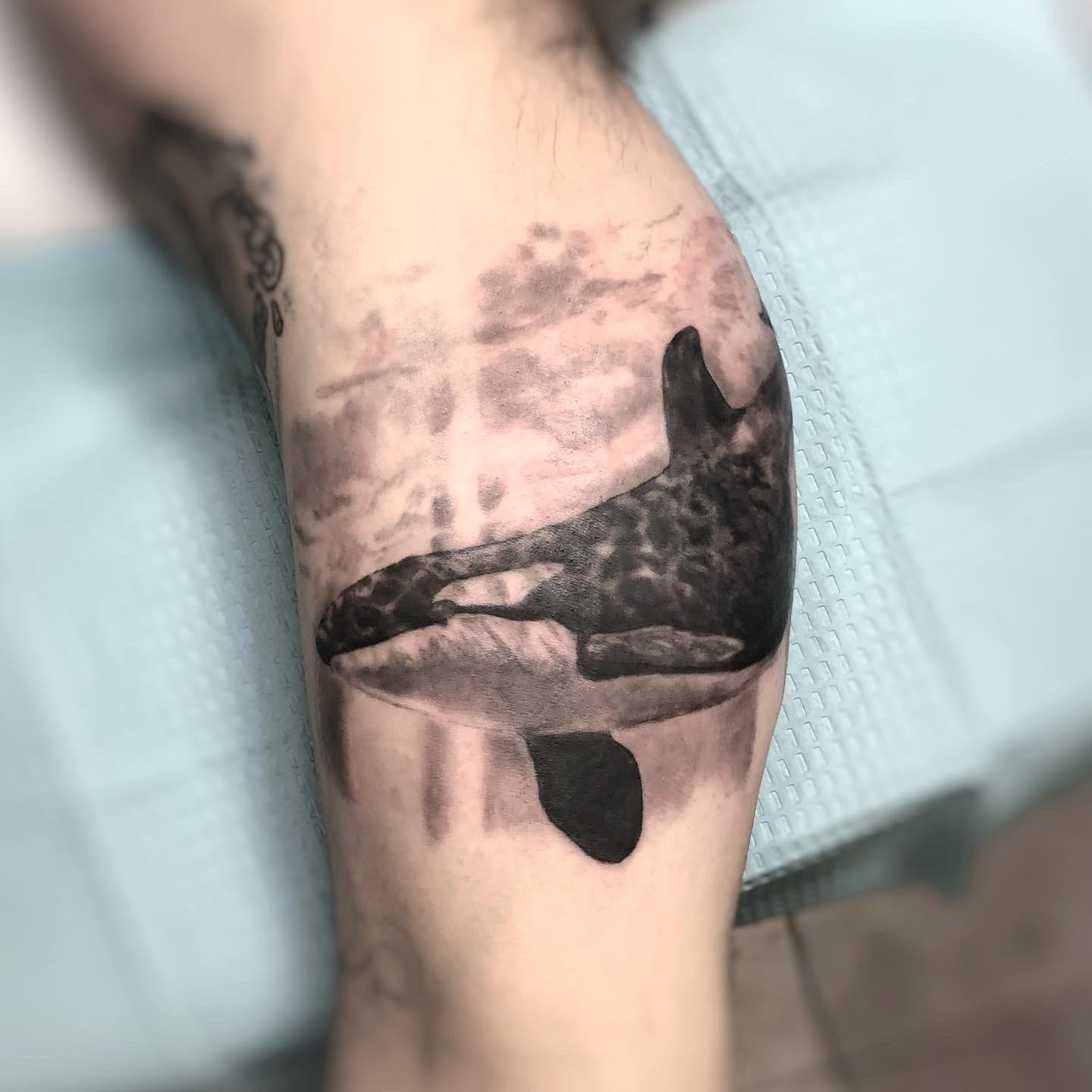 Orca Whale, Part Of A Pacific Northwest Themed Half-Sleeve That Is In Progress, By Me, Olivia Hartranft, At Witch City Ink, Salem Ma : R/Tattoo 1440_x_1440_jpg