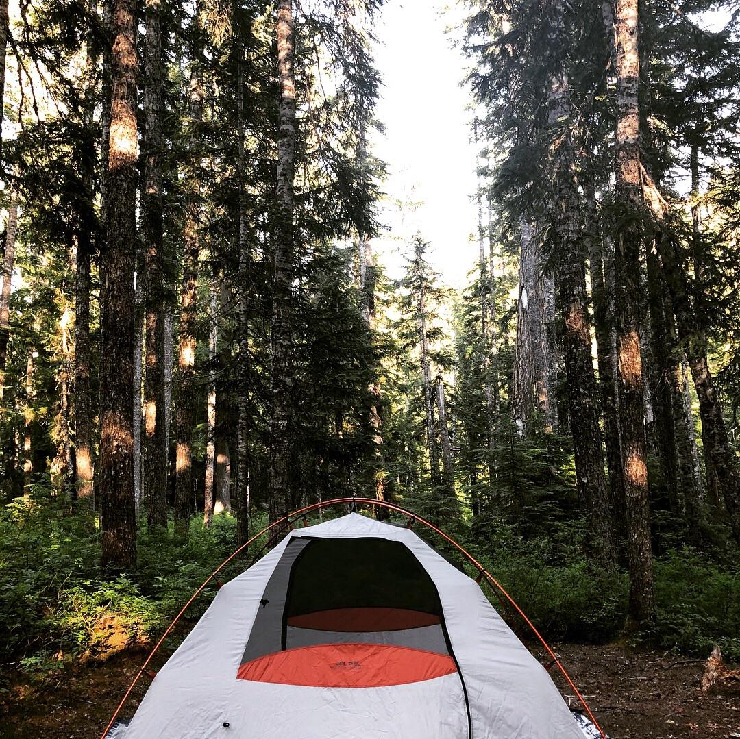First time camping in Gifford Pinchot National Forrest, Soda Springs