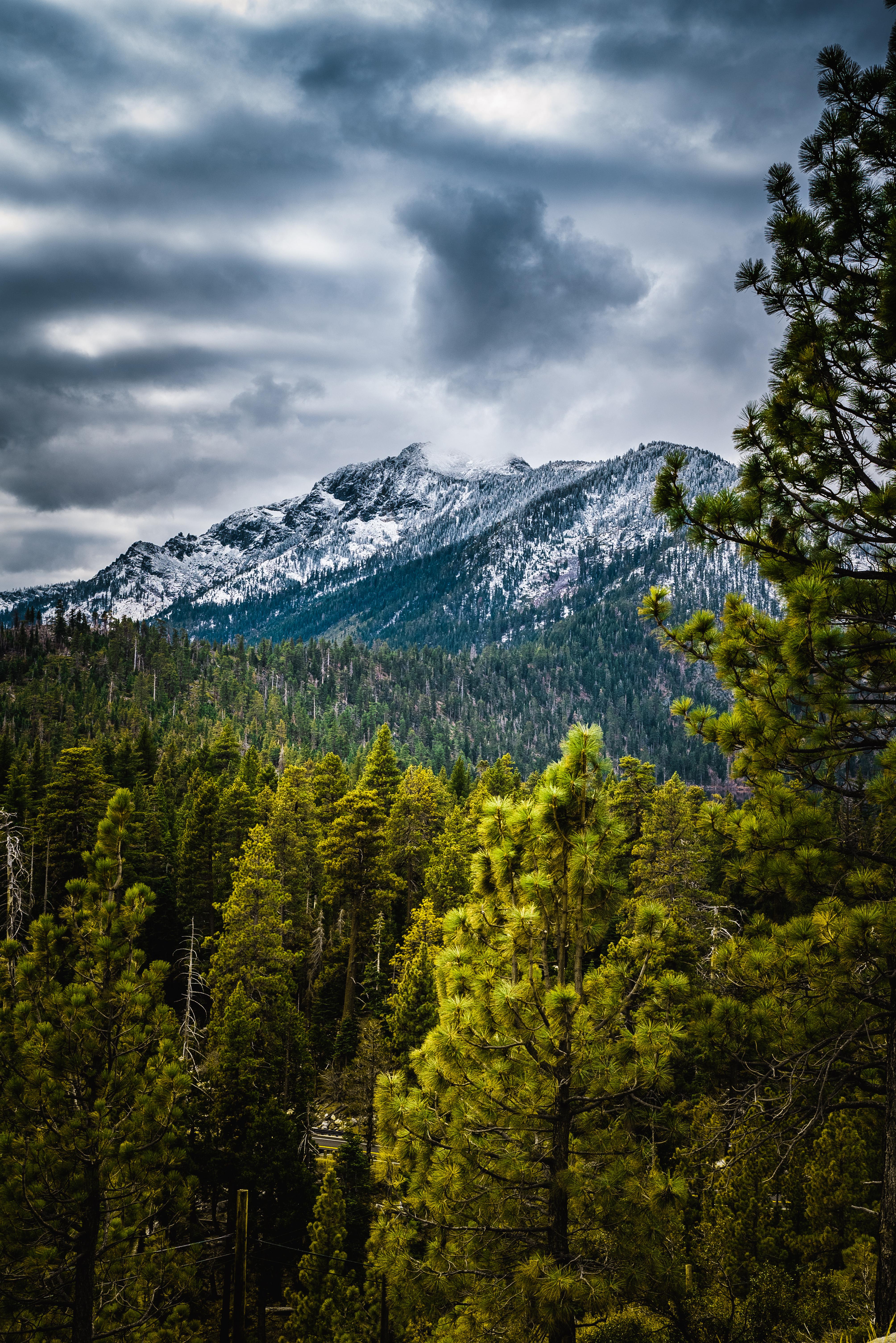 Beautiful mountains near Lake Tahoe, California, USA [OC][4016x6016] r/EarthPorn