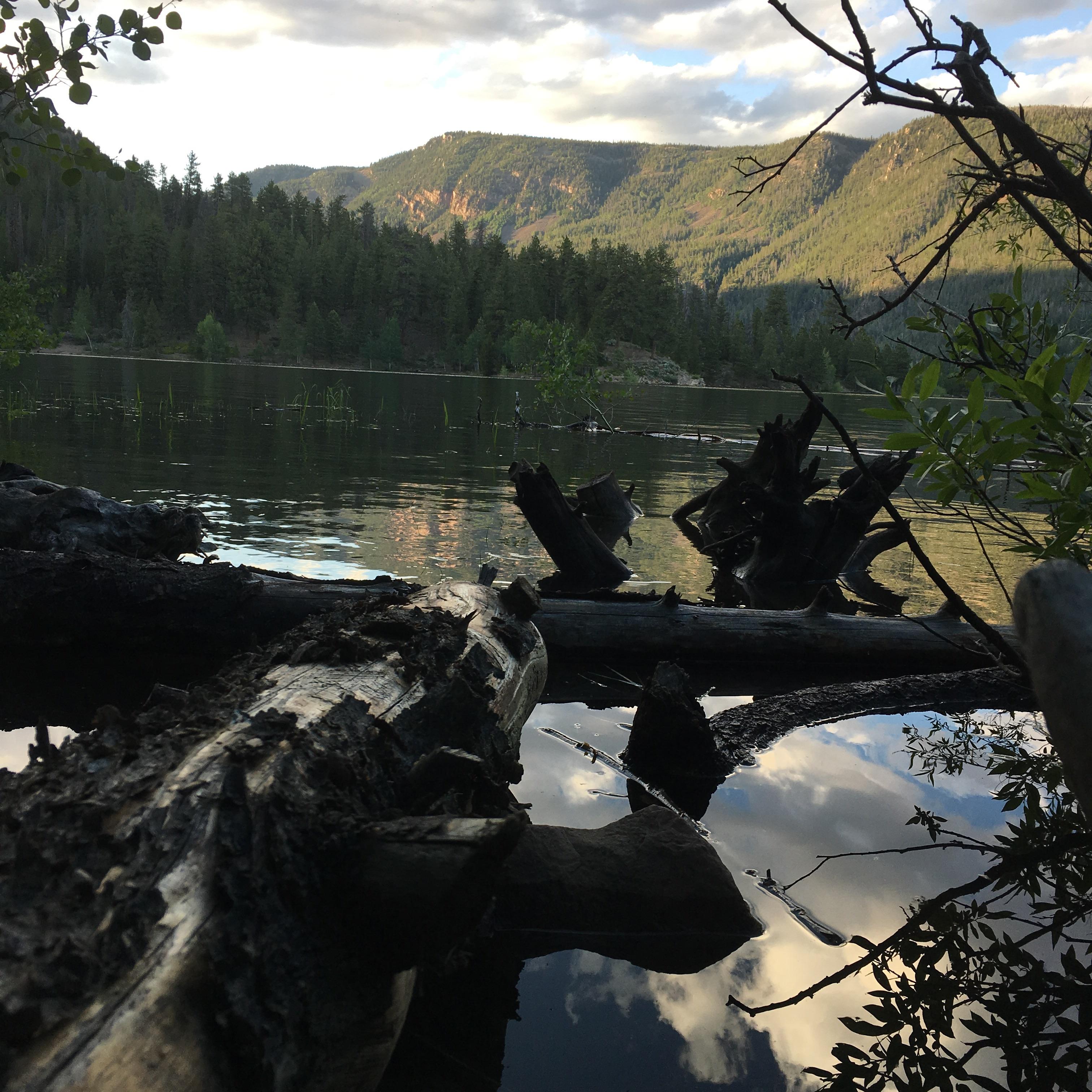 Moon Lake in the Ashley National Forest, Utah r/travel