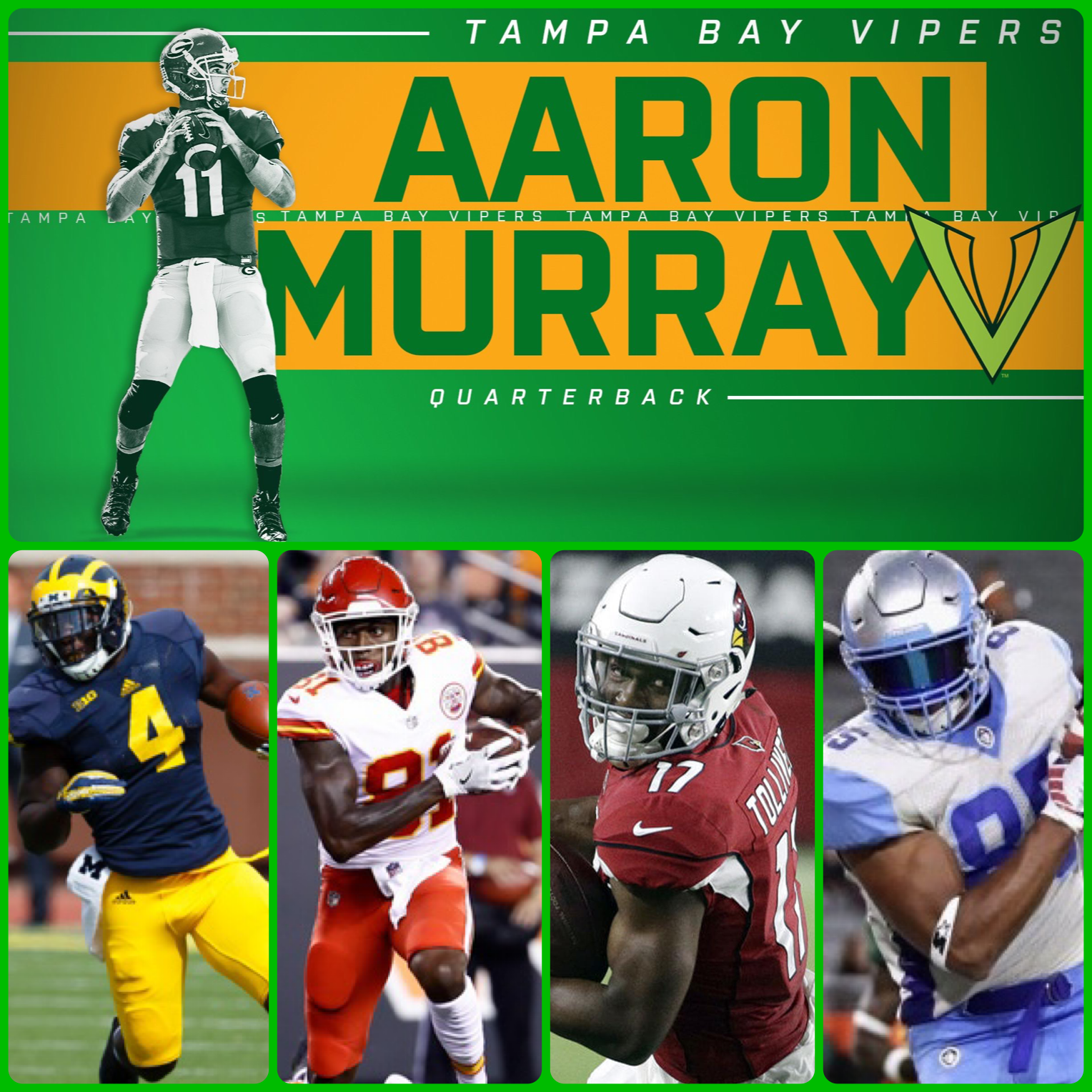 Tampa Bay Vipers r/xfl