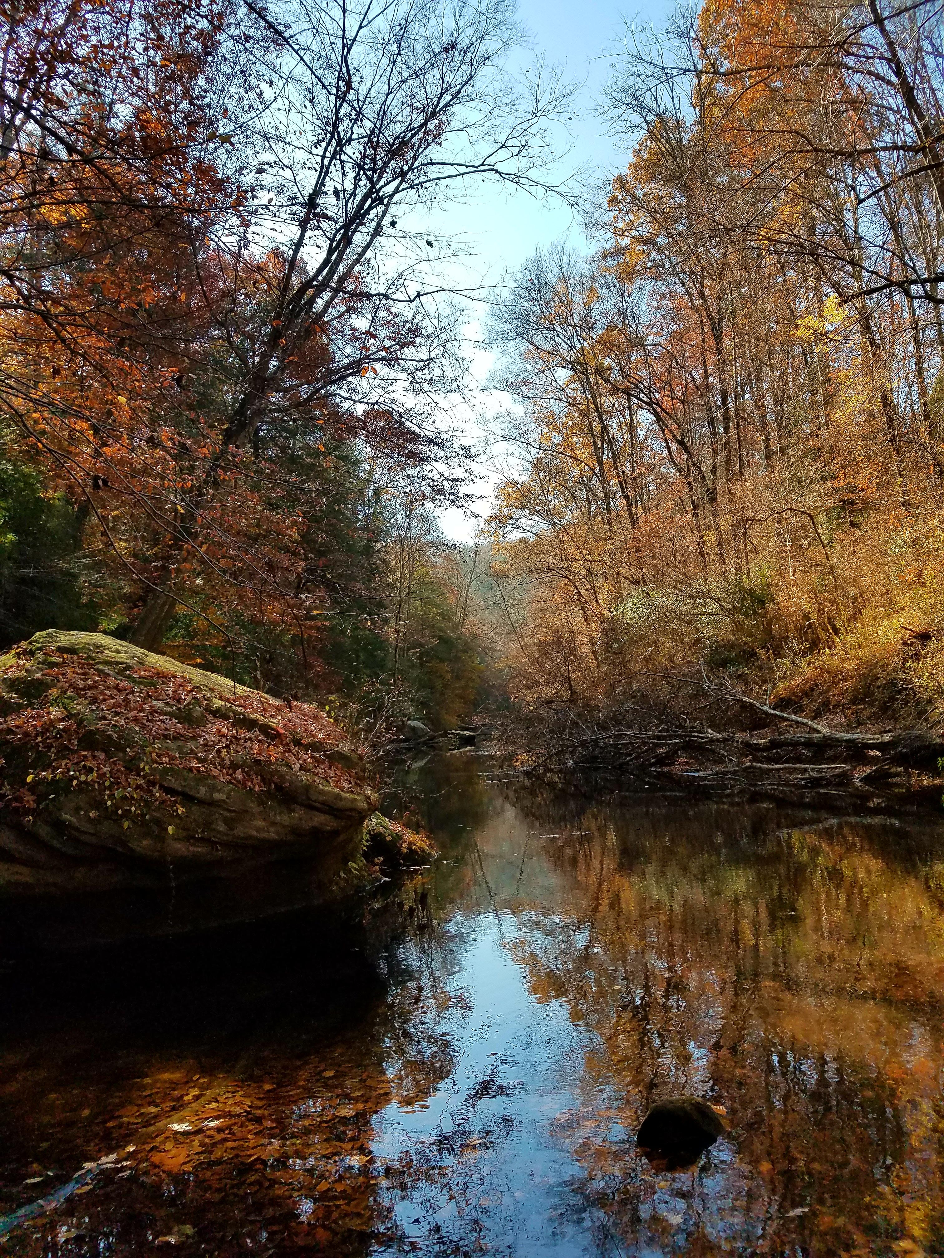 Sipsey Wilderness in Alabama hiking