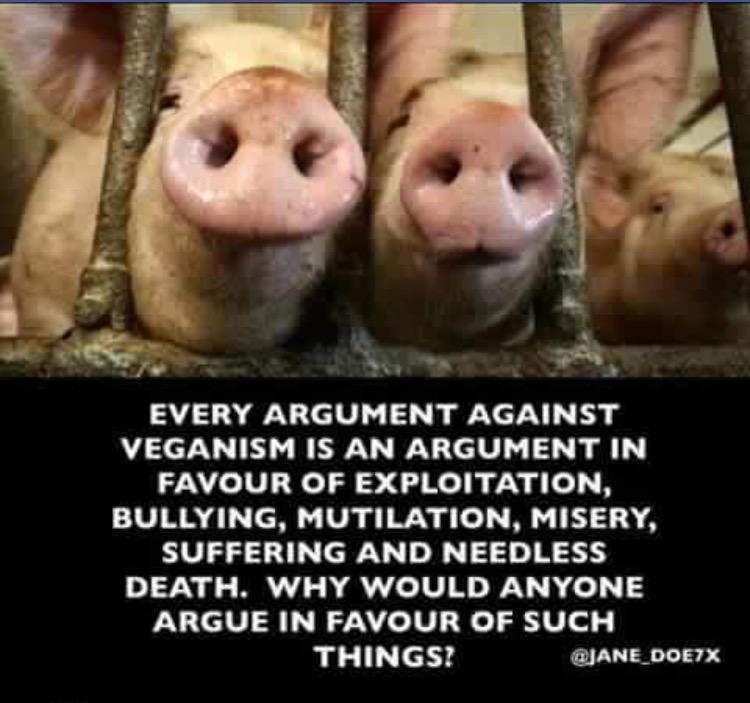 Top 5 Ways to Trigger Vegans