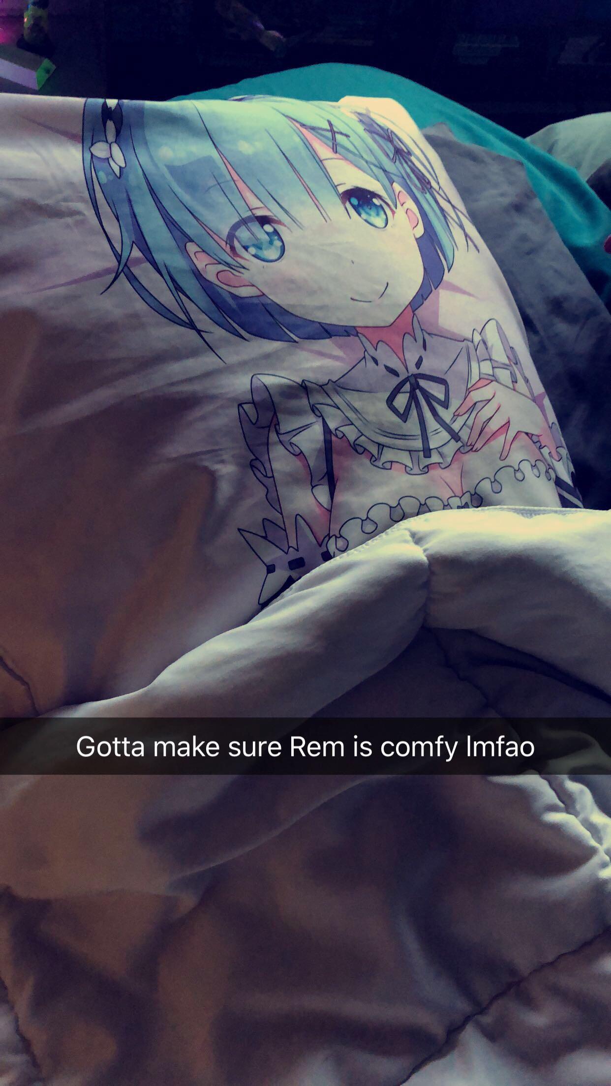 [media] This is what I wake up to everyday. r/Re_Zero