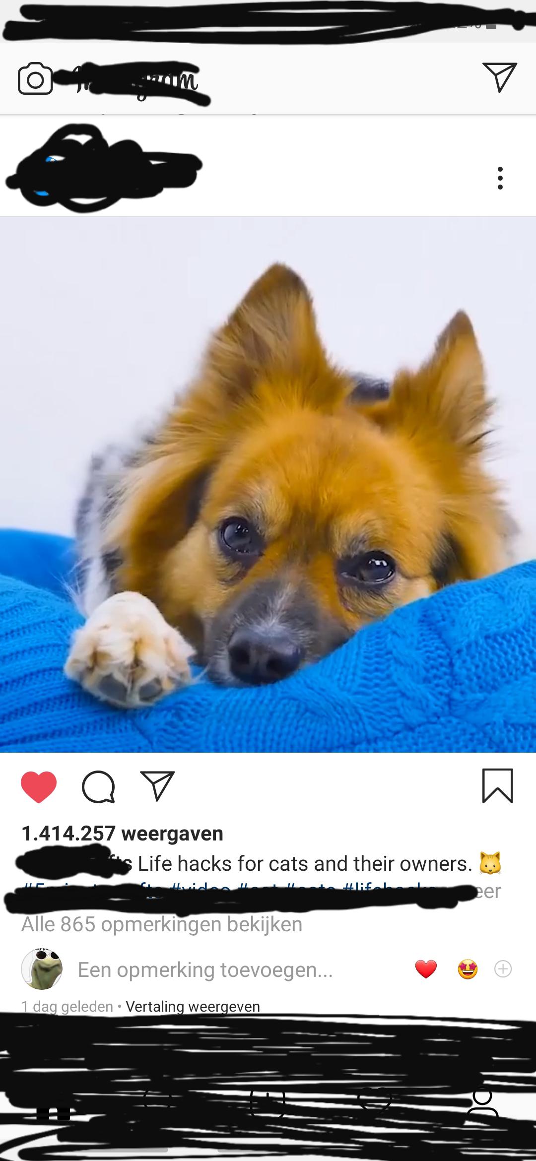 Life hacks for cats and their owners?? Er staat toch duidelijk een hond