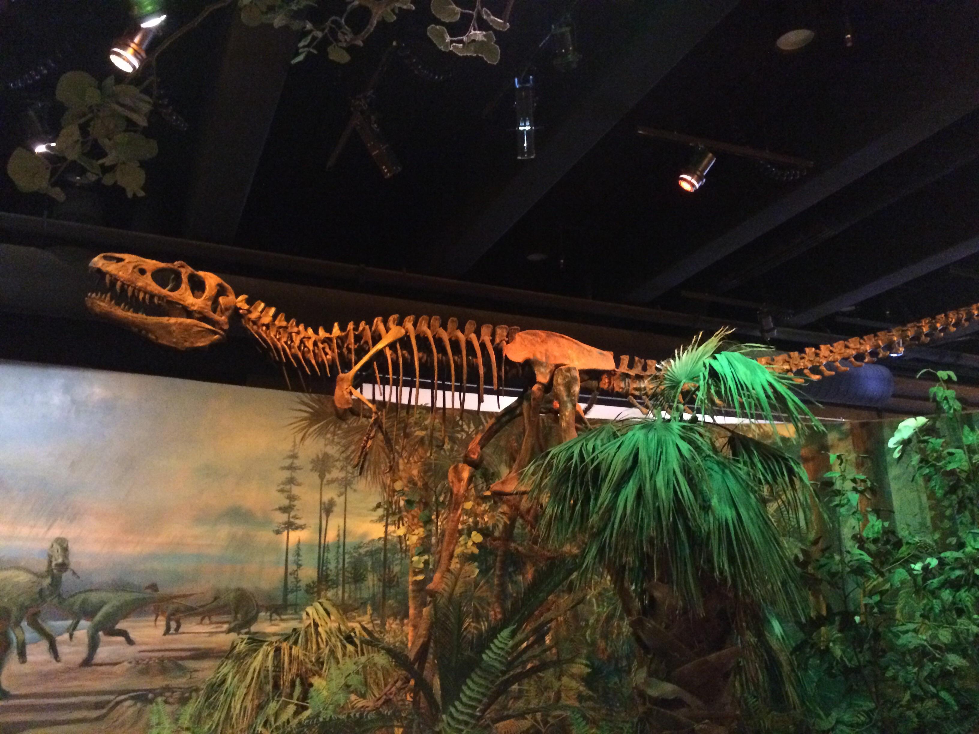 I could never figure out what this carnivore at the North Carolina