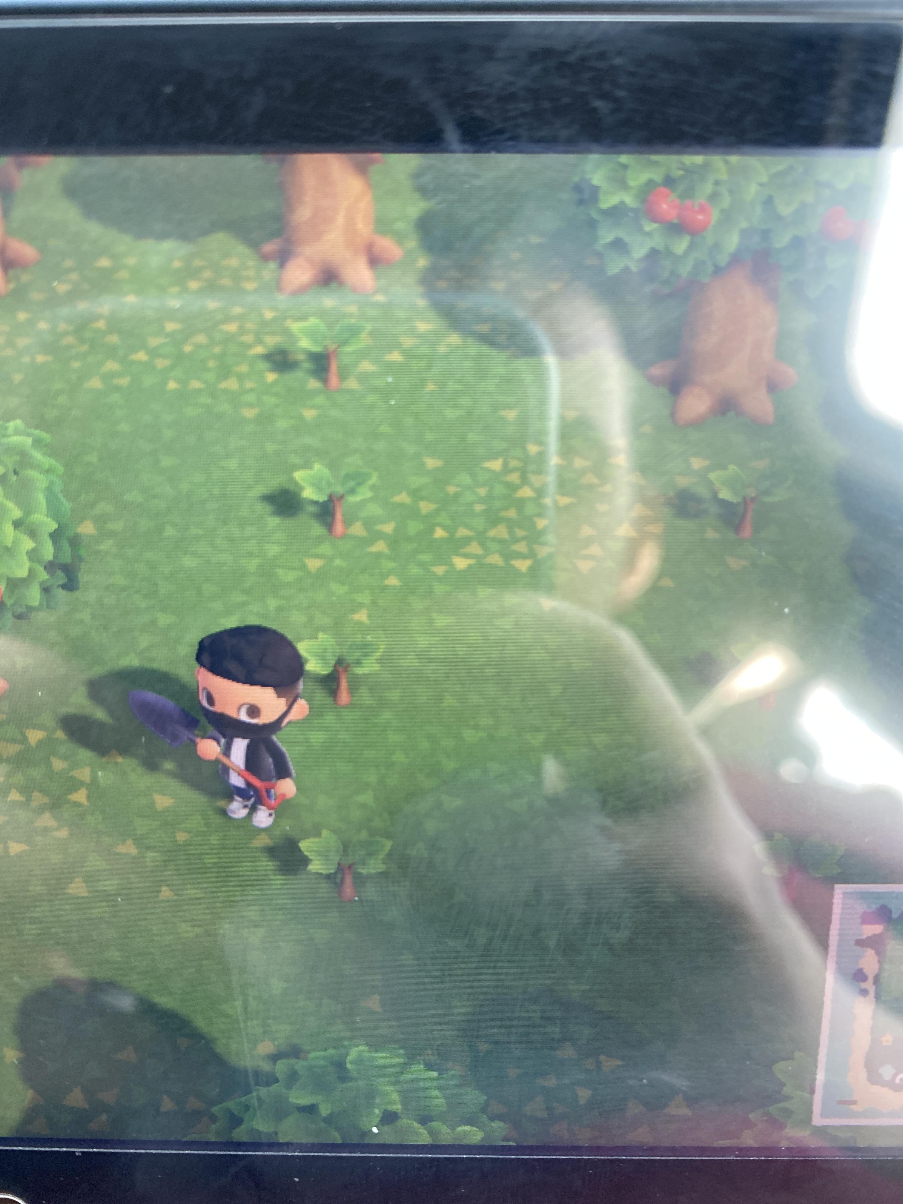 Why won’t my trees grow here r/AnimalCrossing