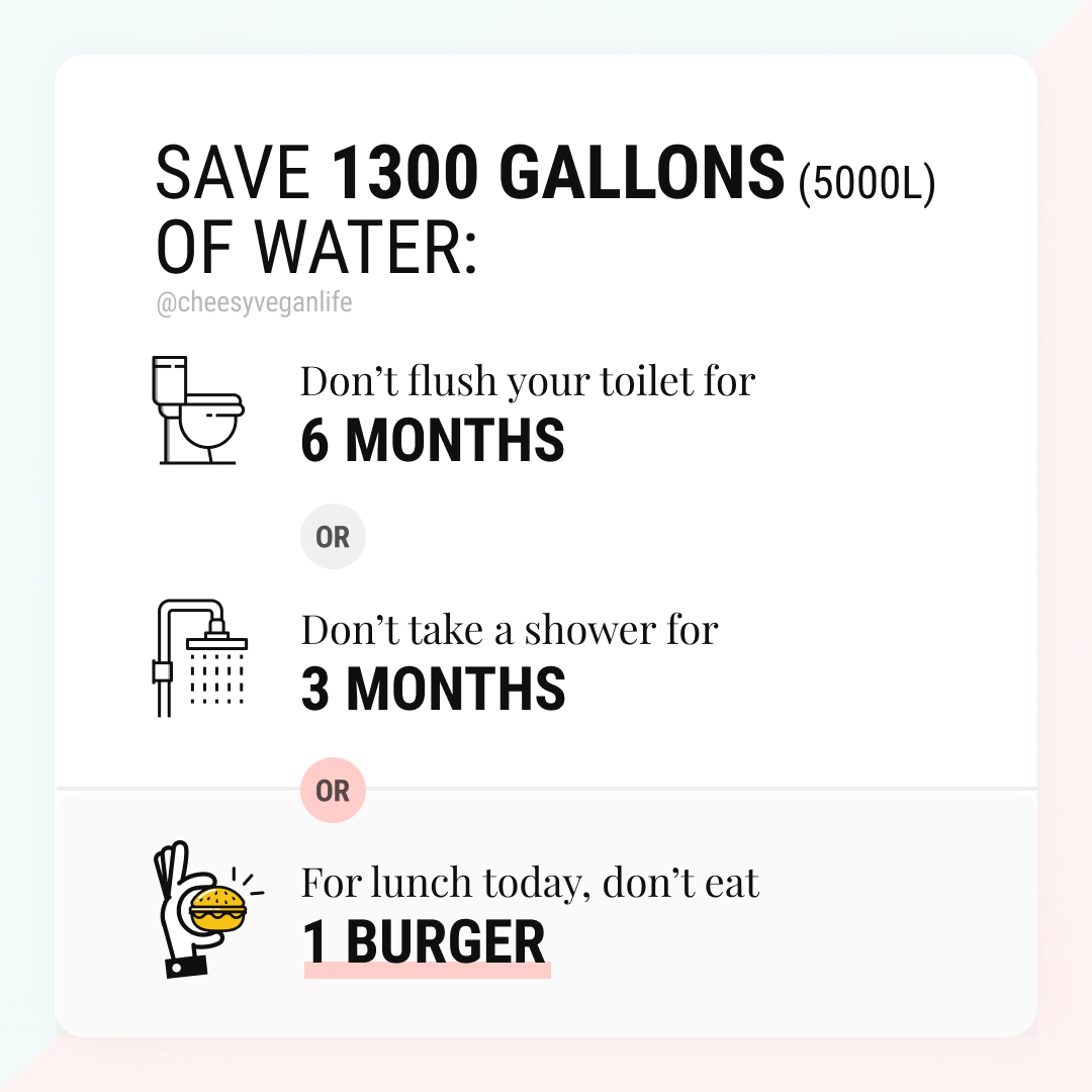 Don't shower for 3 months or don't 1 eat one burger? r/vegan