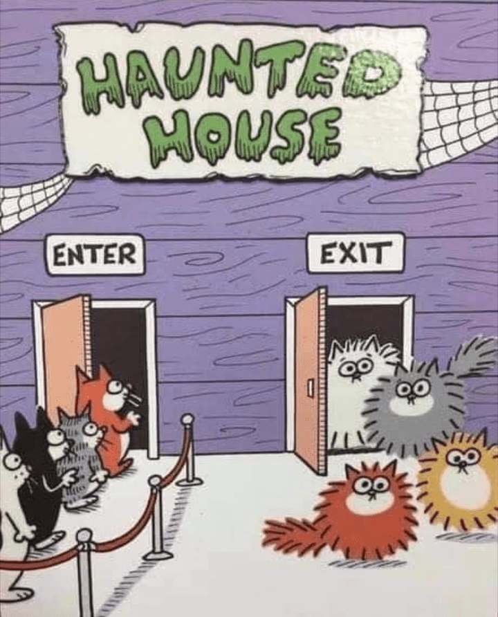 The bottle brush factory 🐈😻 r/bottlebrush