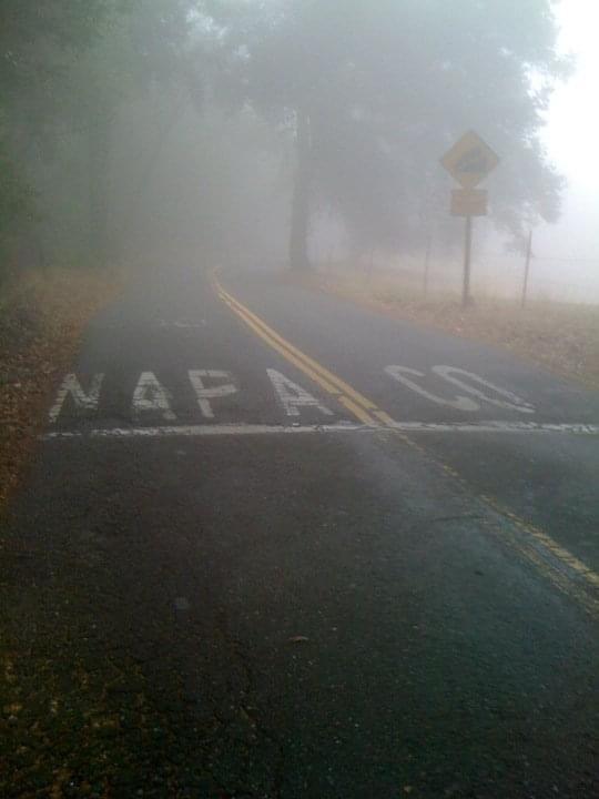Foggy day on the Oakville Grade, Napa r/RoadPorn