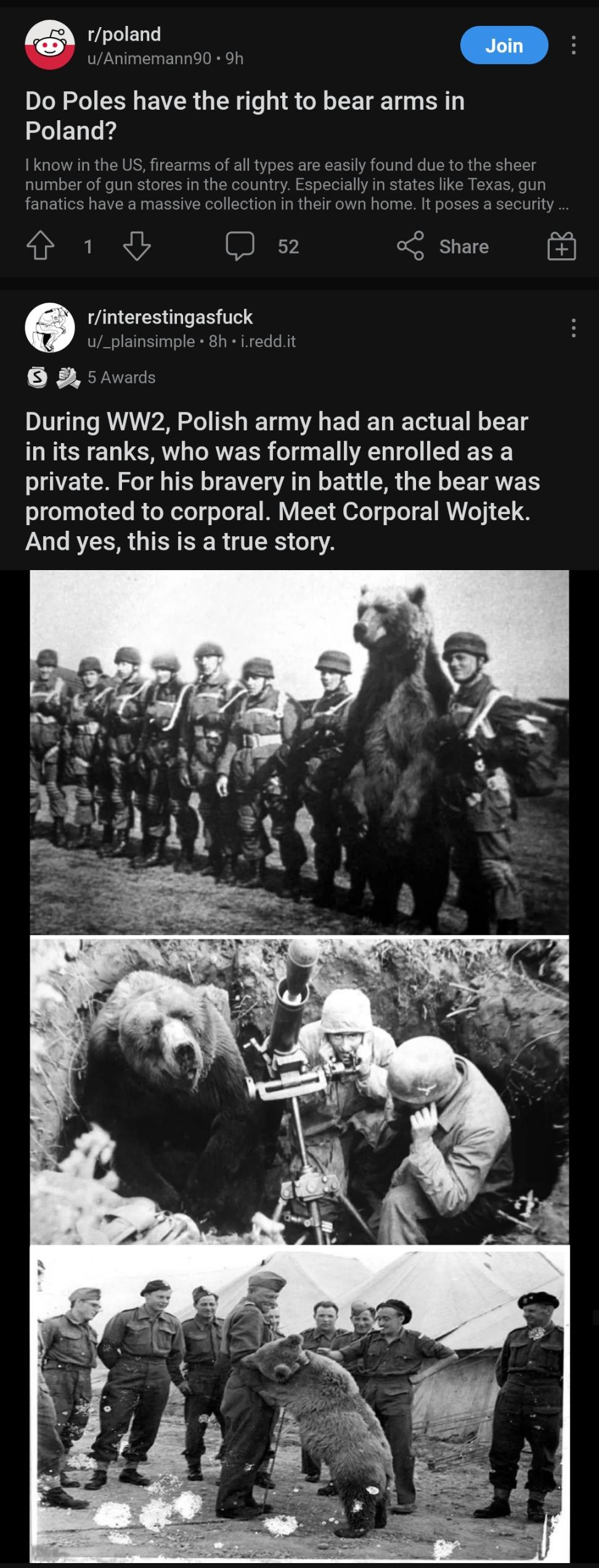 Did you mean arm bears? r/poland