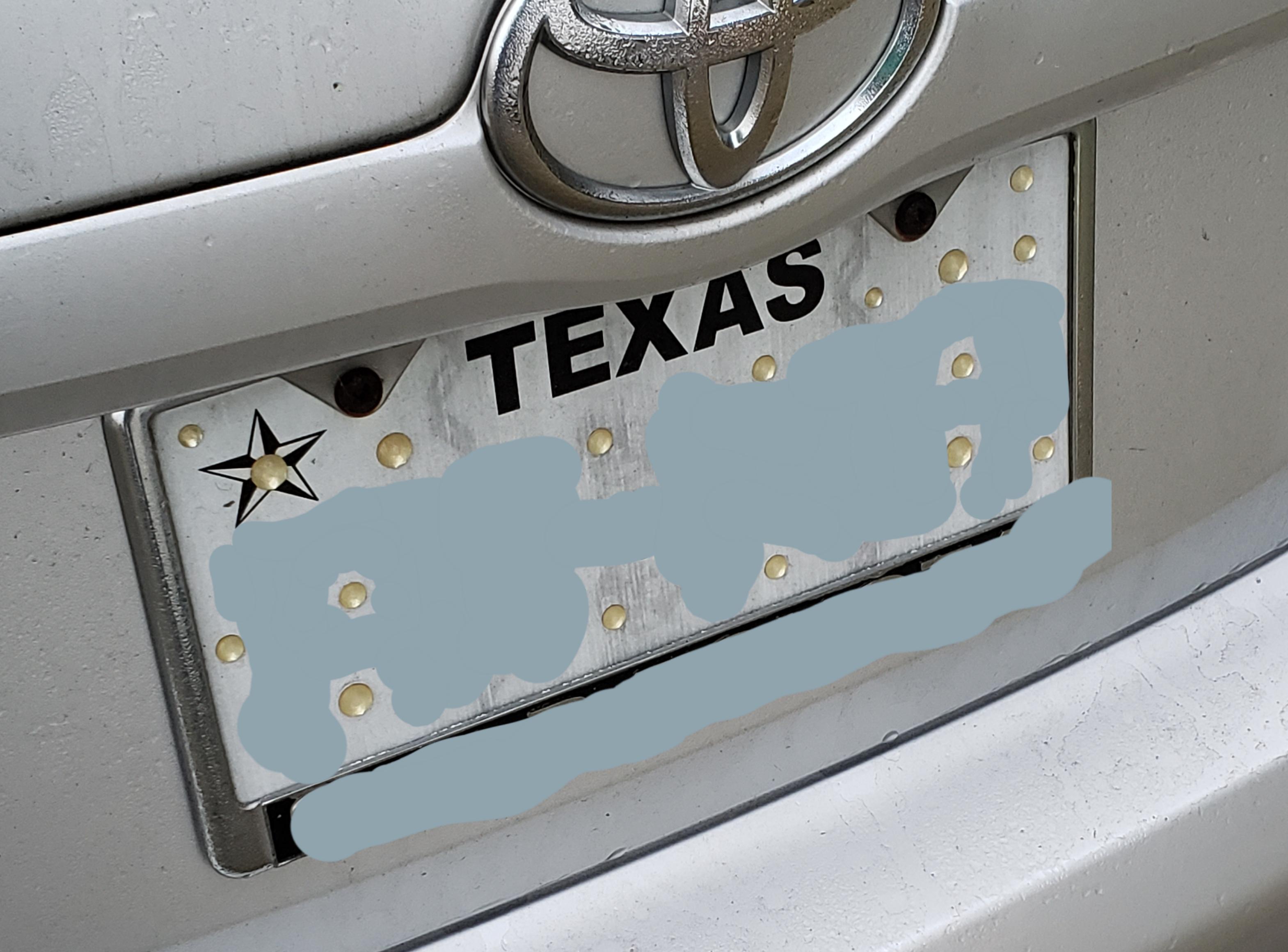 Odd semi reflective plastic orbs on someone's rear license plate r
