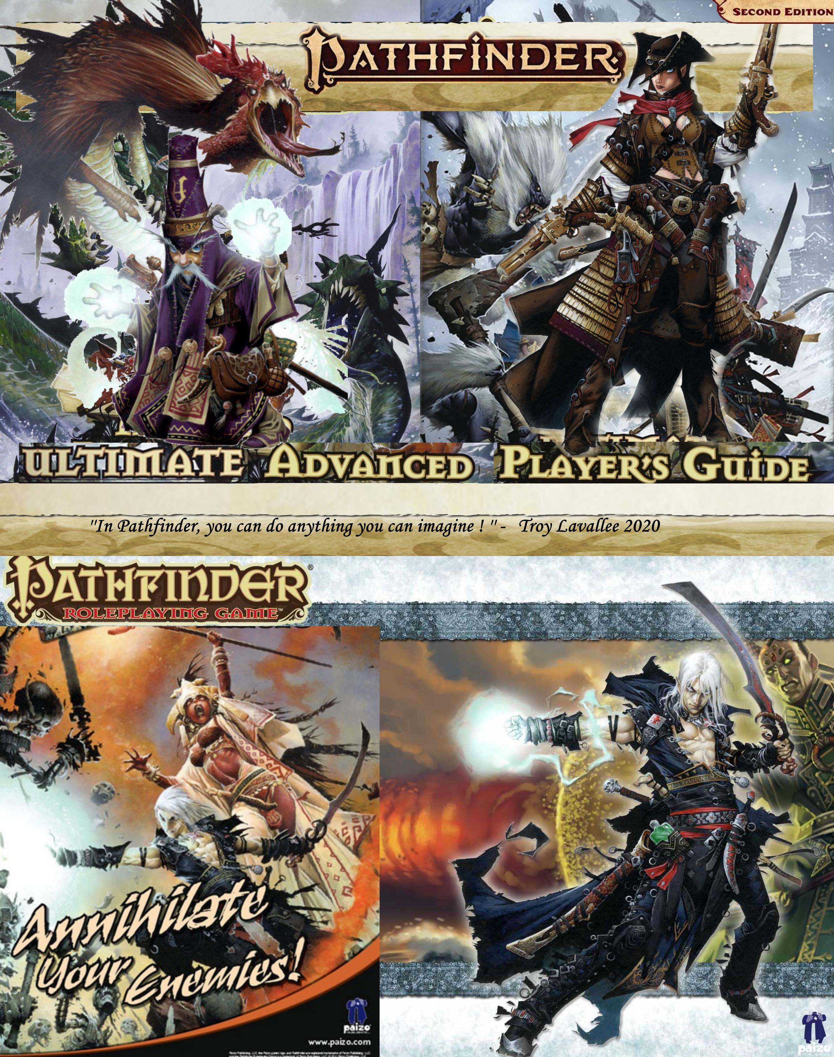 Pathfinder Advanced Player's Guide Pathfinder Rpg Advanced Player S