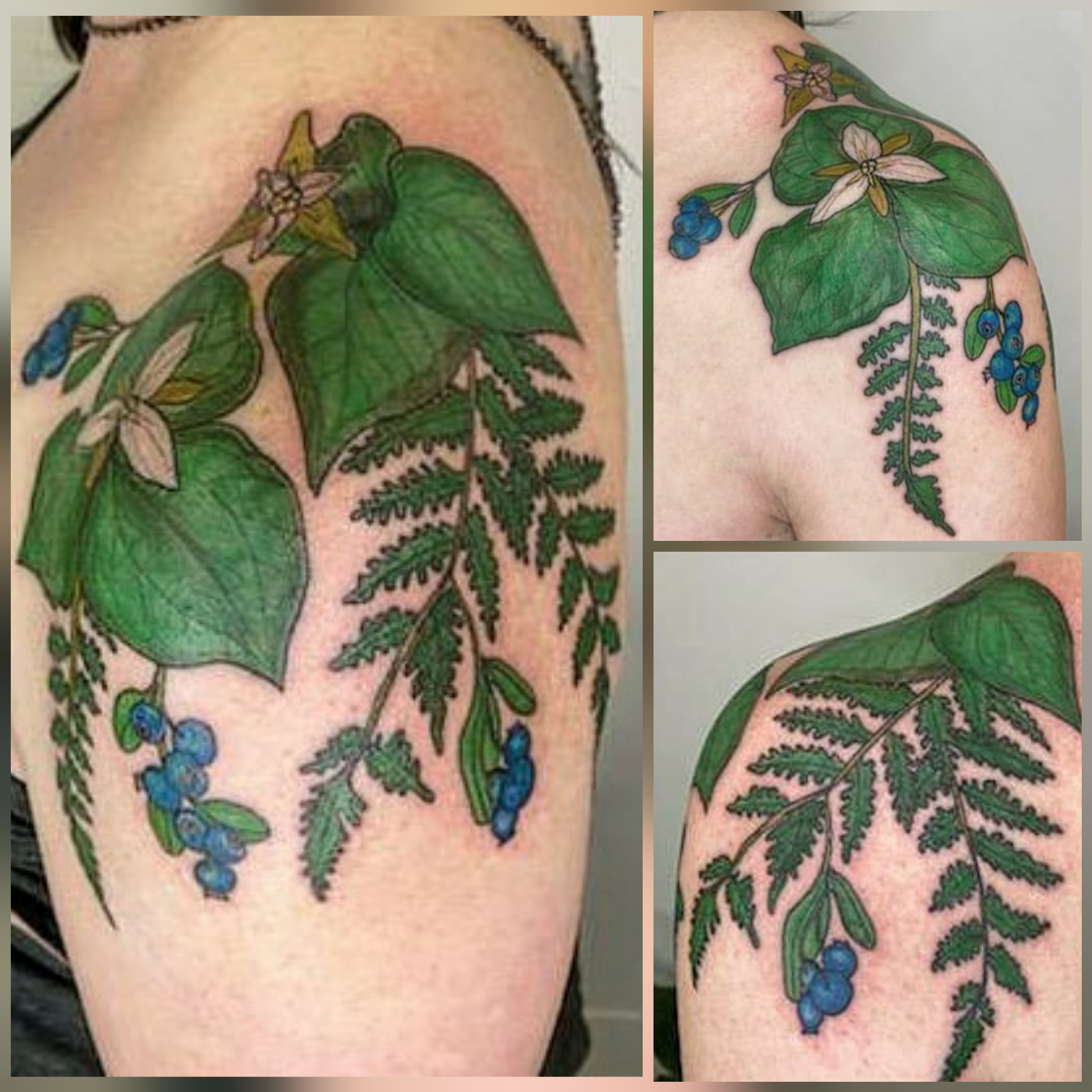Trillium, fern, and blueberry shoulder cap by Regina (Push) at Goldleaf