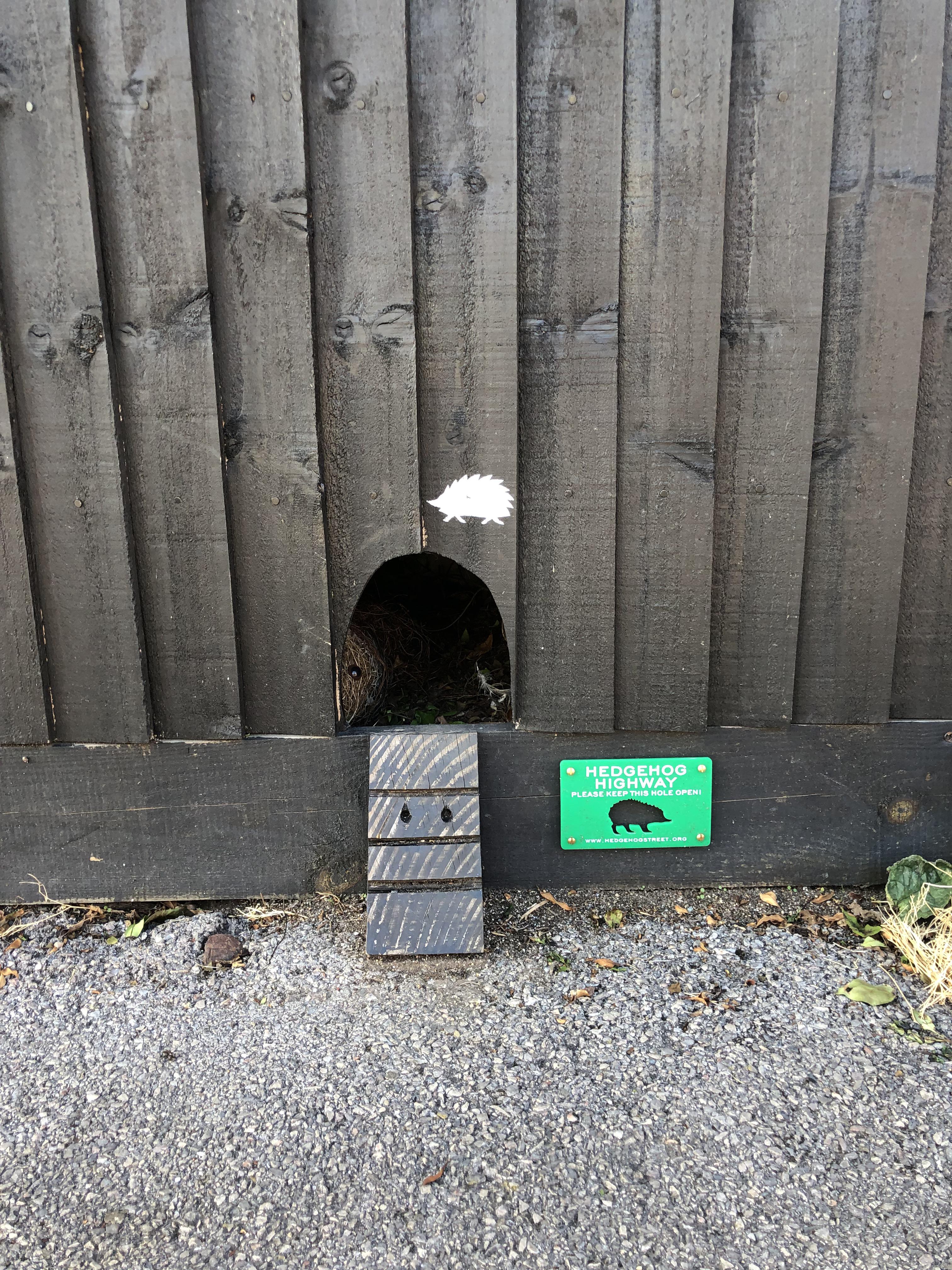 A house down my road has an entrance for hedgehogs r/mildlyinteresting
