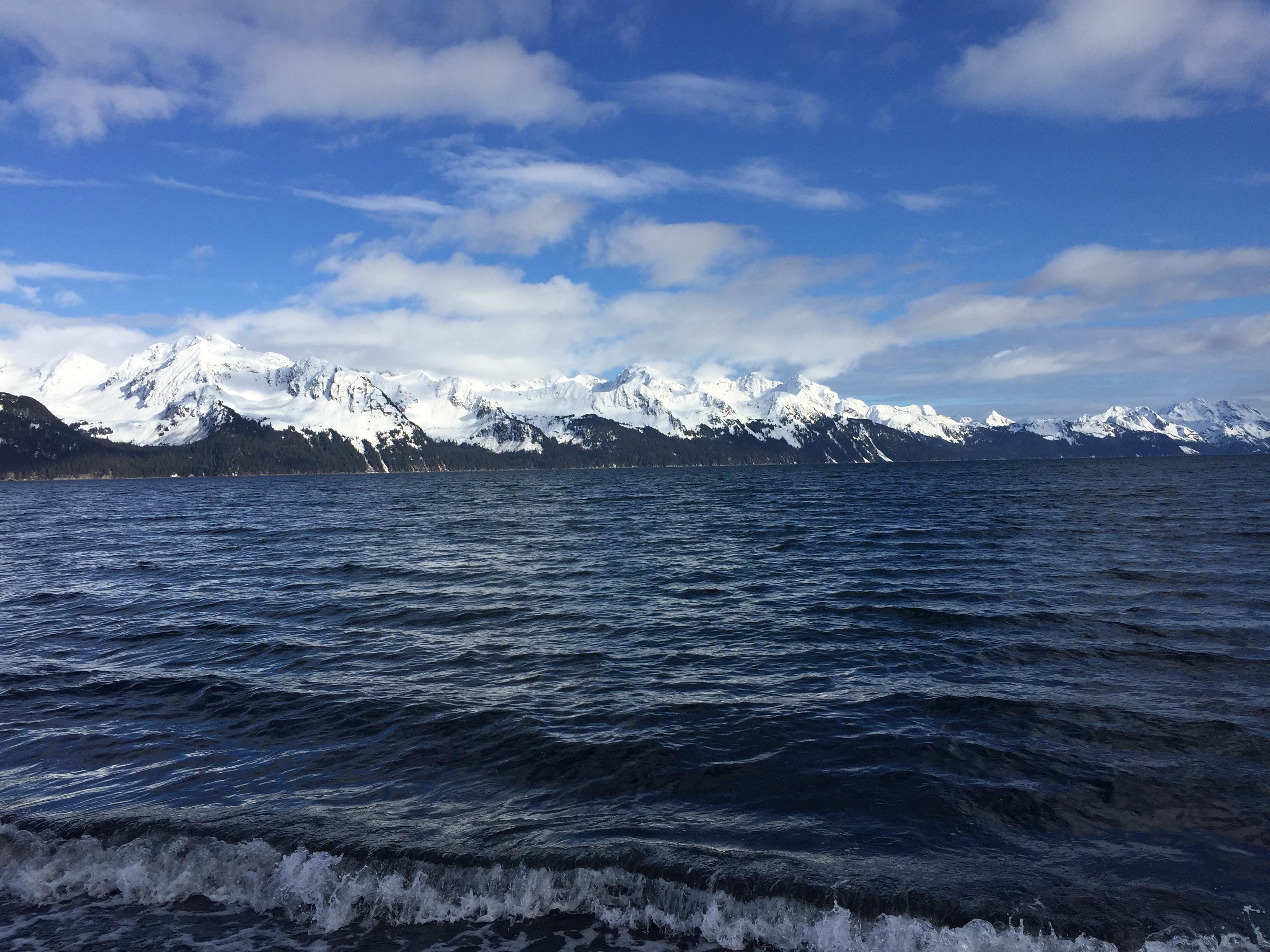 Another beautiful picture from Seward, Alaska. r/pics