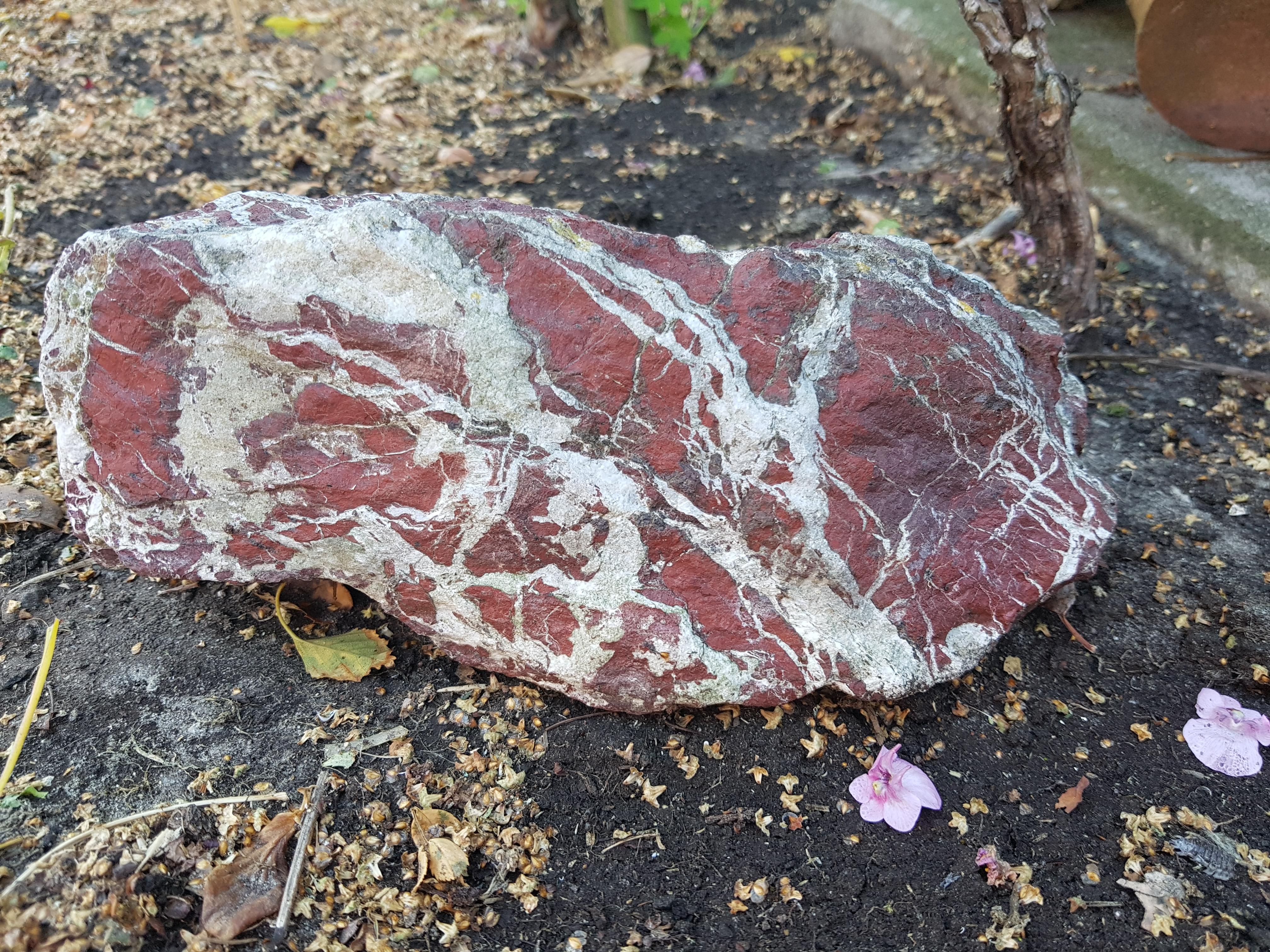 This rock kinda looks like raw meat r/mildlyinteresting