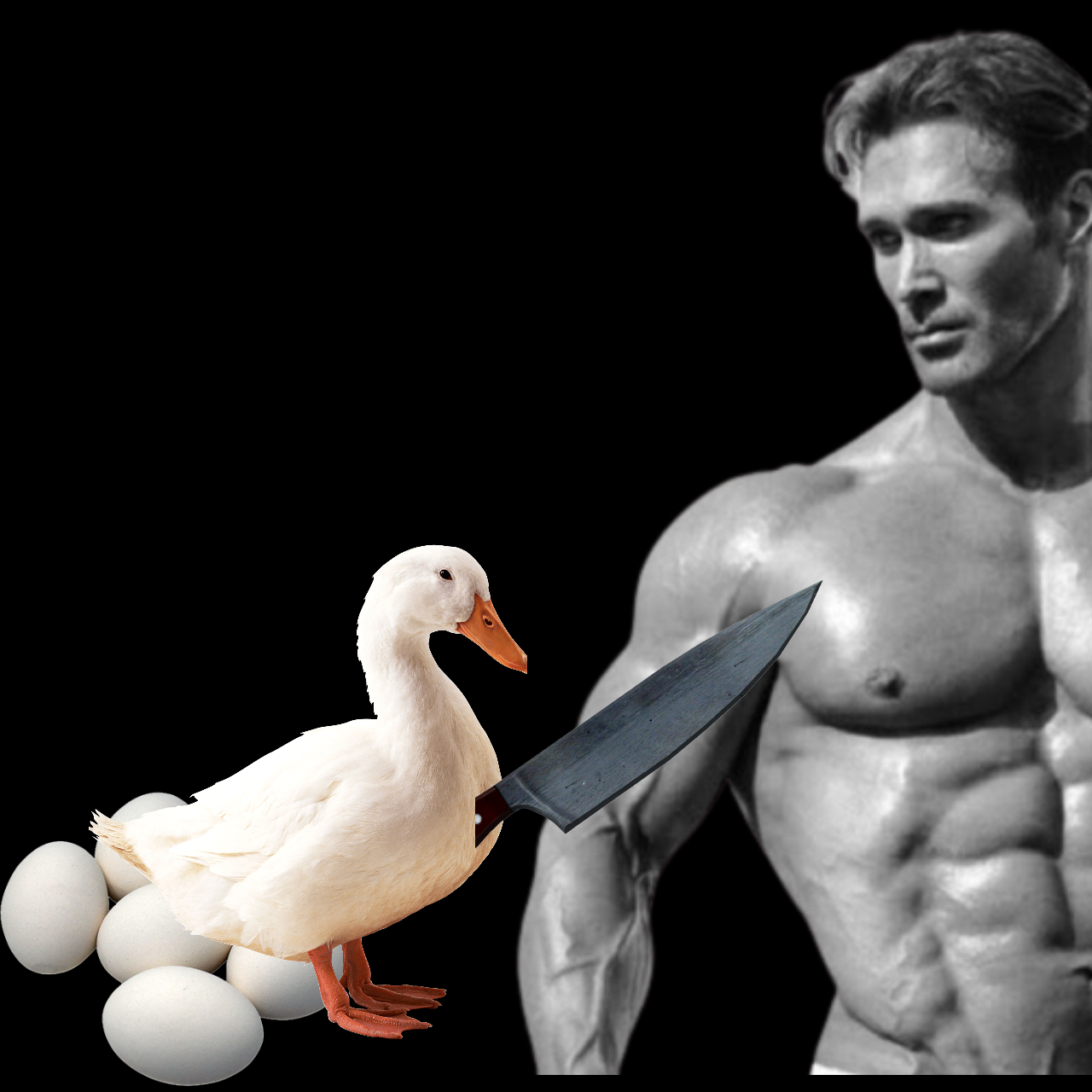 Are Duck Eggs Good For Bodybuilding