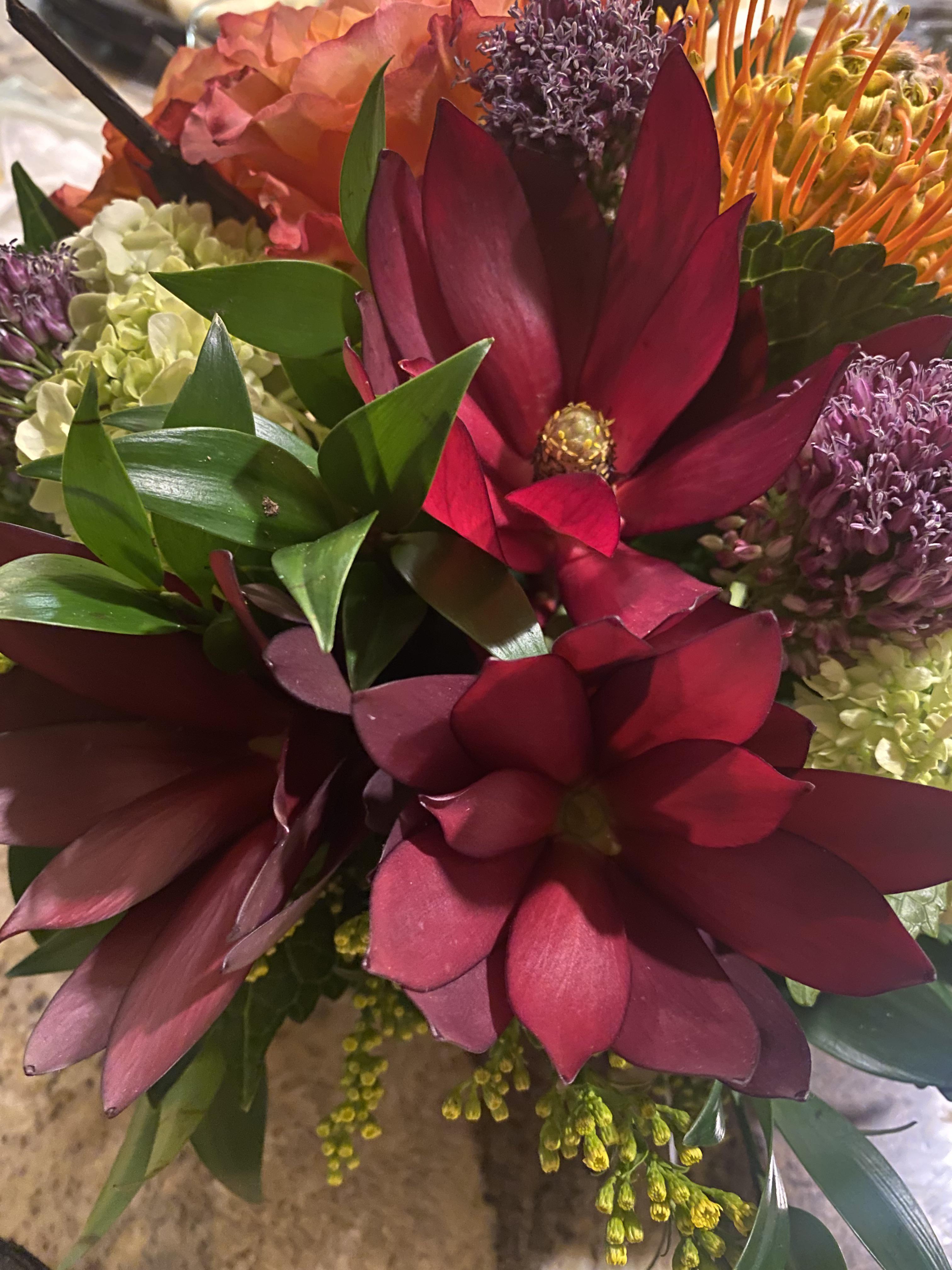 Anyone know what these burgundy flowers are called? r/FloralDesign