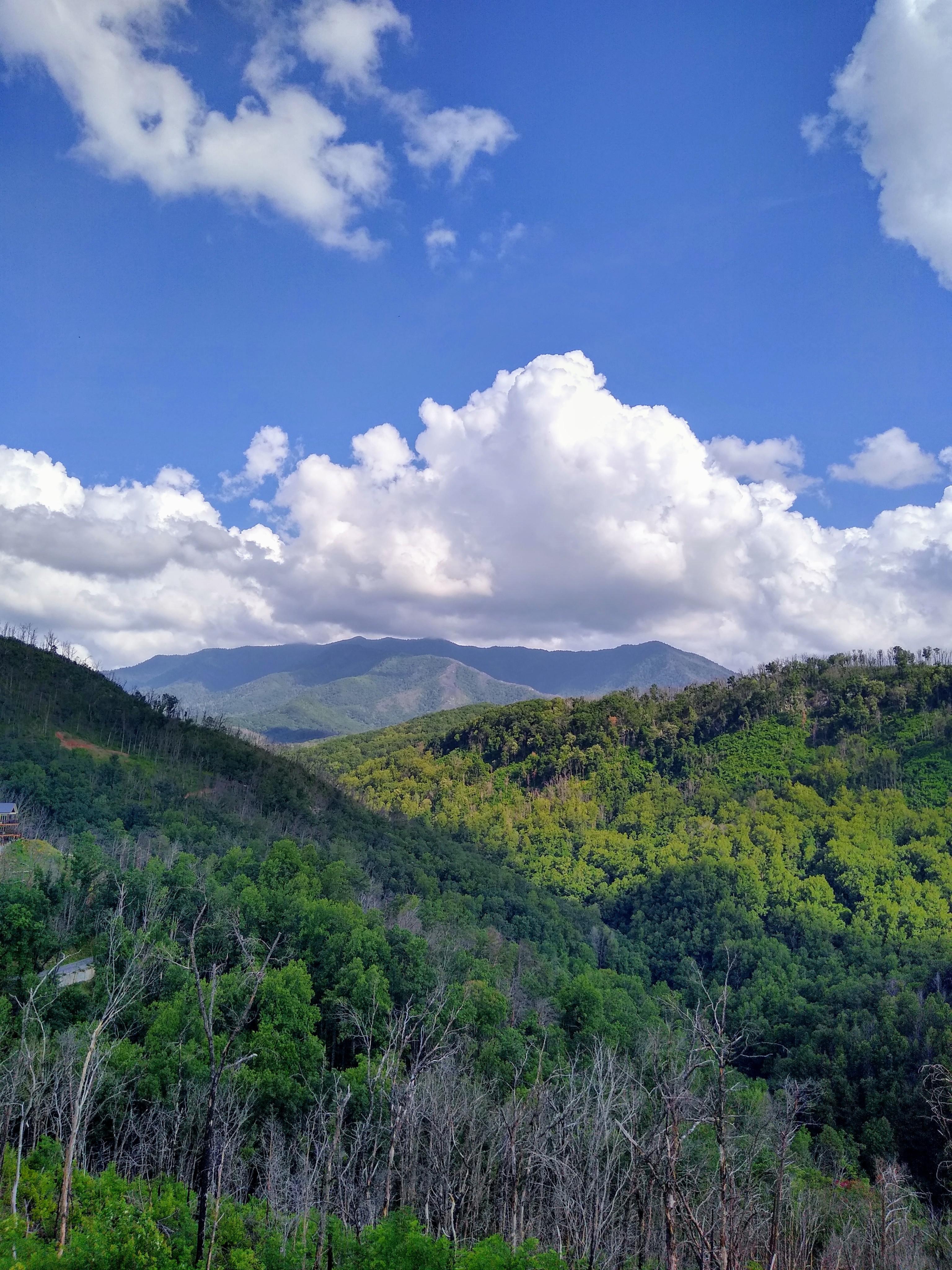 Can't wait to go back ♥️ Great Smokey Mountain hiking. Gatlinburg, TN