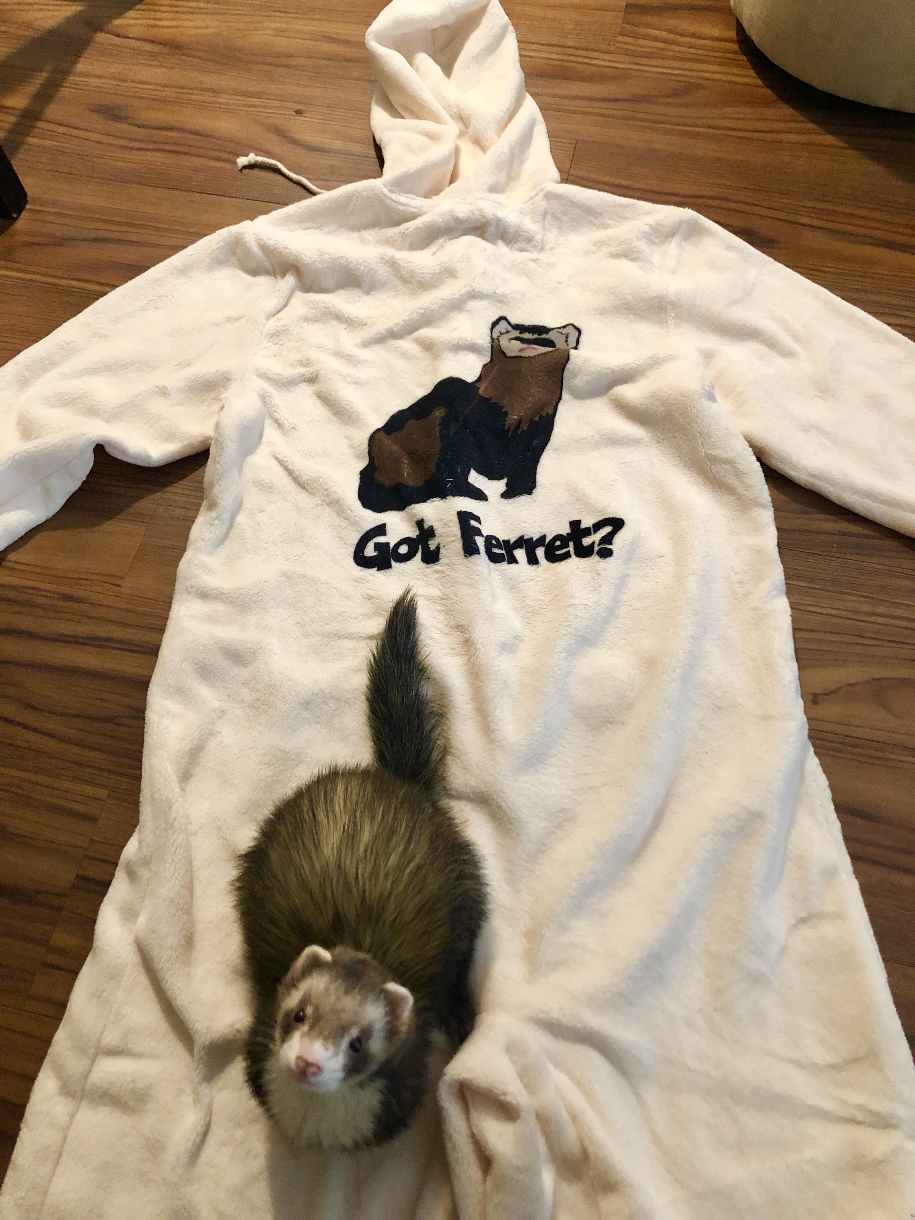 My Reddit secret Santa sent me the most incredible onesie I’ve ever