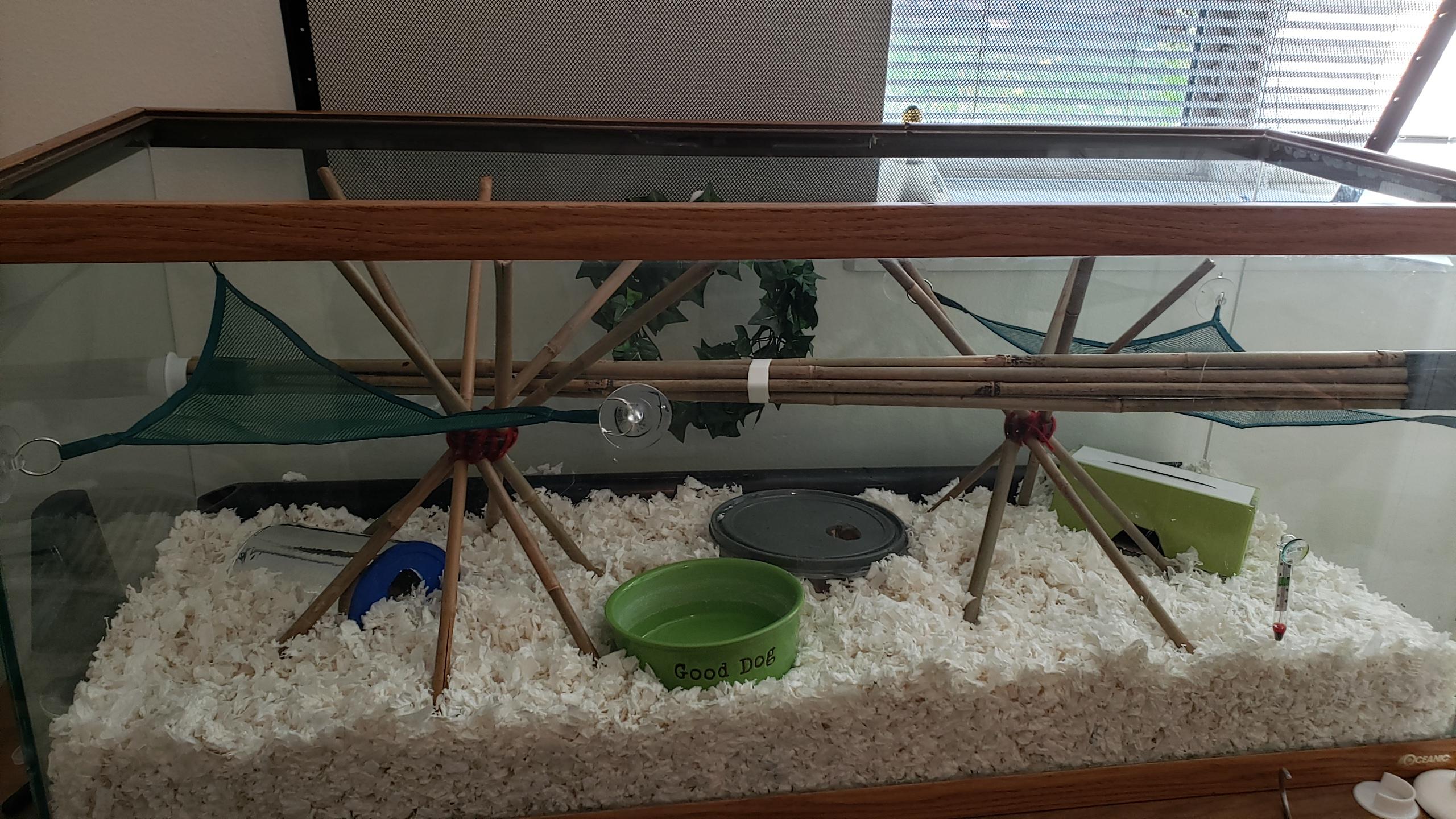 Has anyone used this paper bedding for corns? Thoughts? (75gal) r/snakes