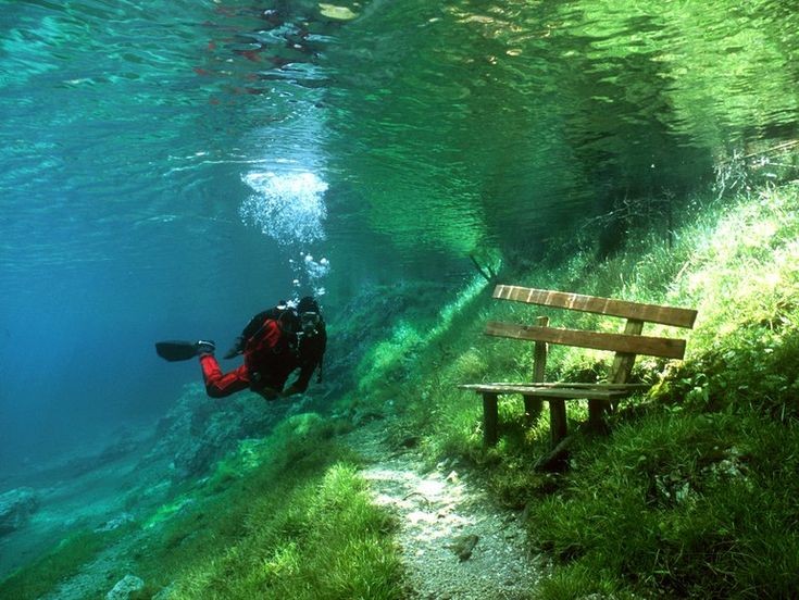 Underwater park r/TheDepthsBelow