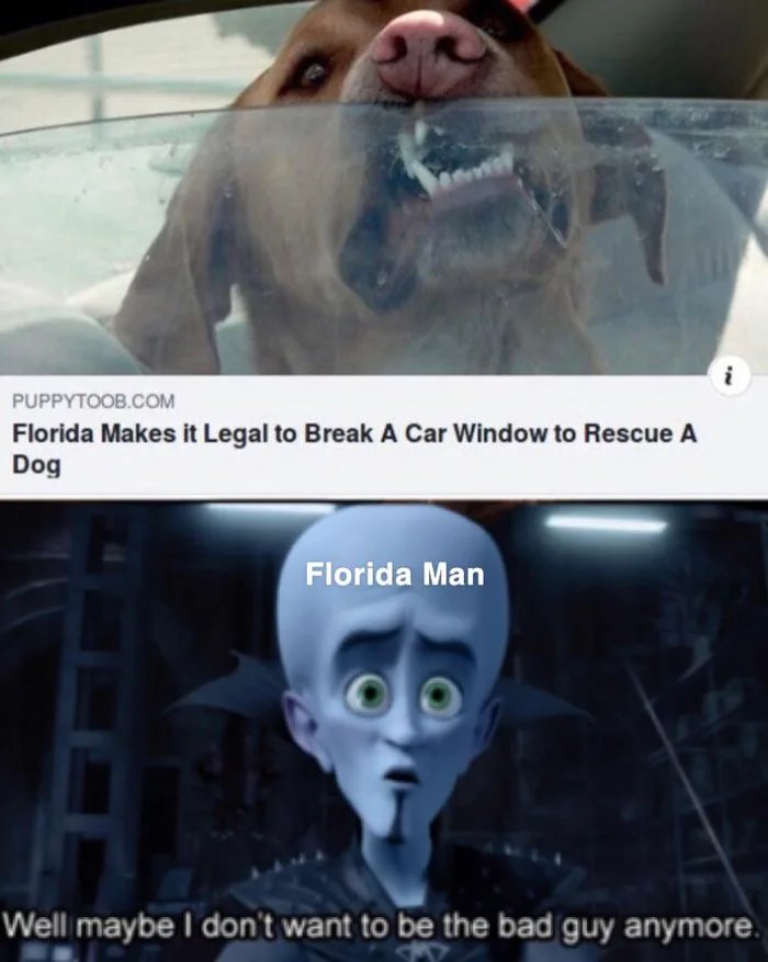 Plot twist memes