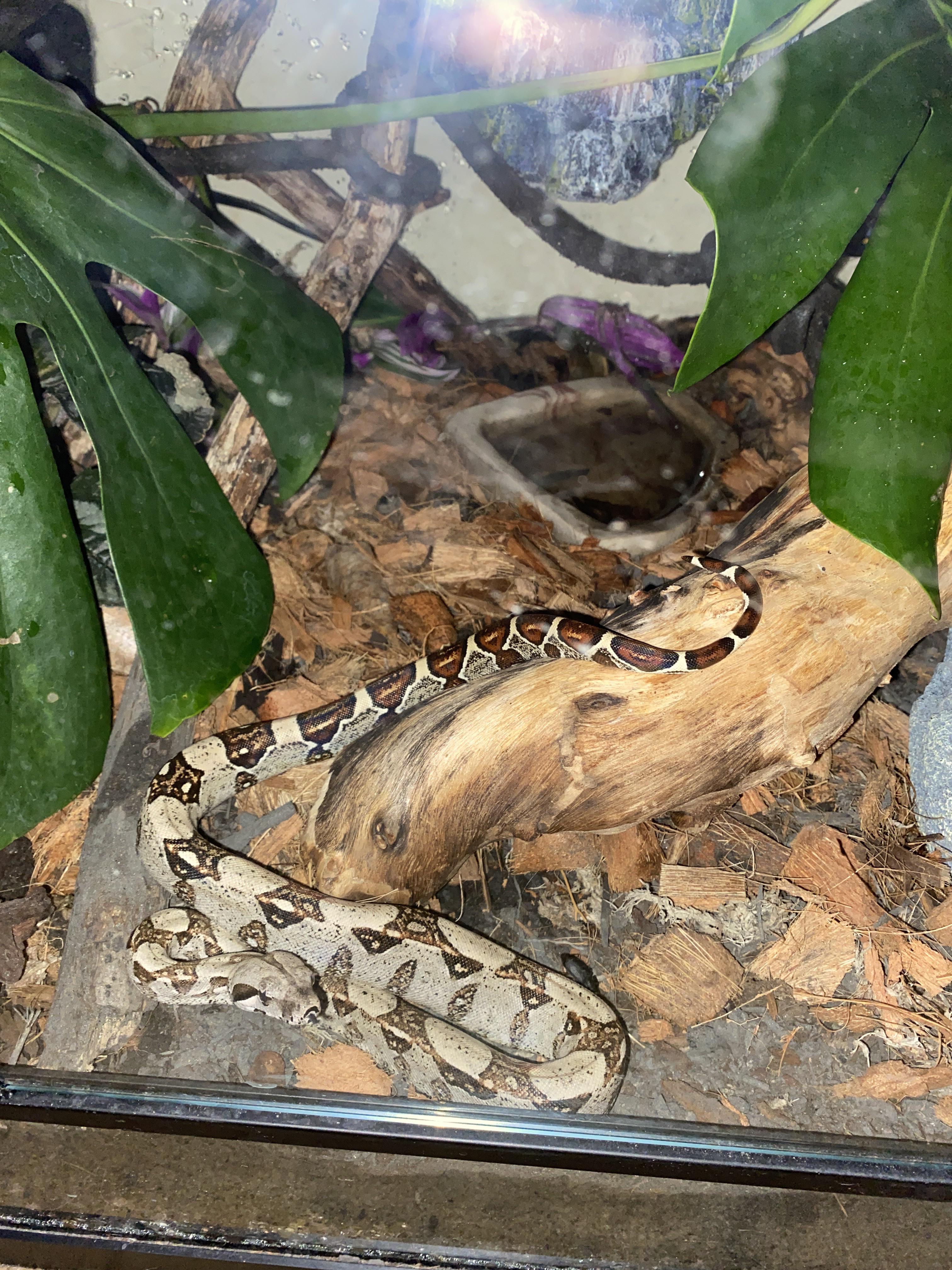 Help? What’s the best brand to order a pvc enclosure off of or, best