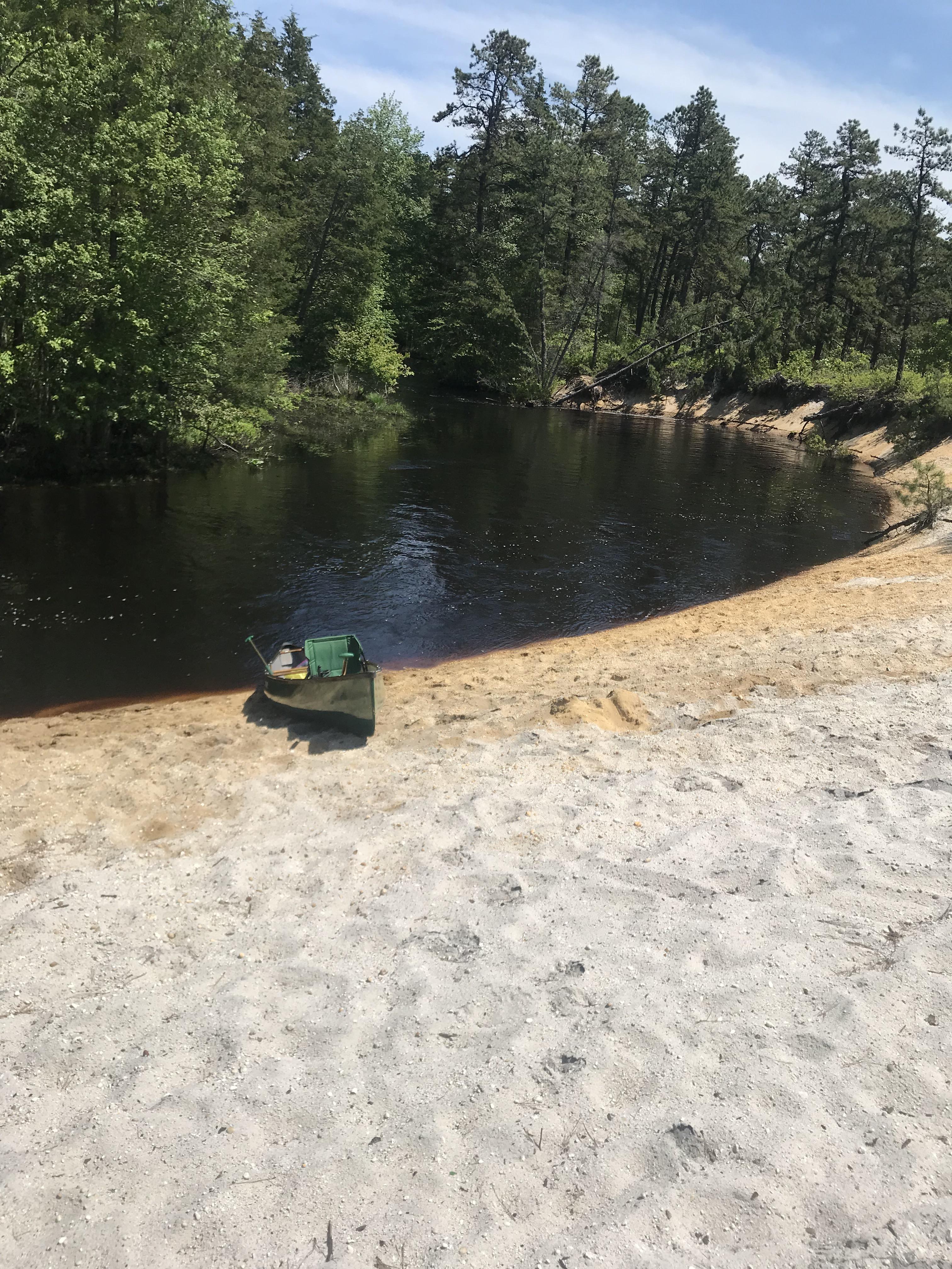 Somewhere in the Pine Barrens of NJ! r/camping
