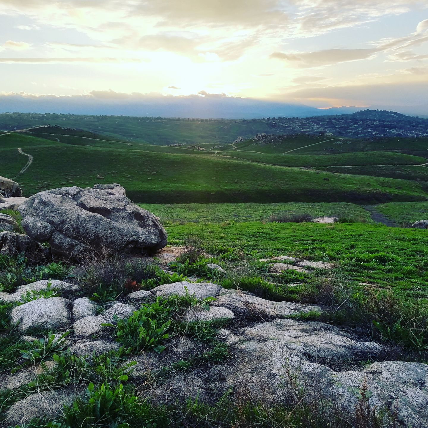 Sycamore Highlands Park r/Riverside