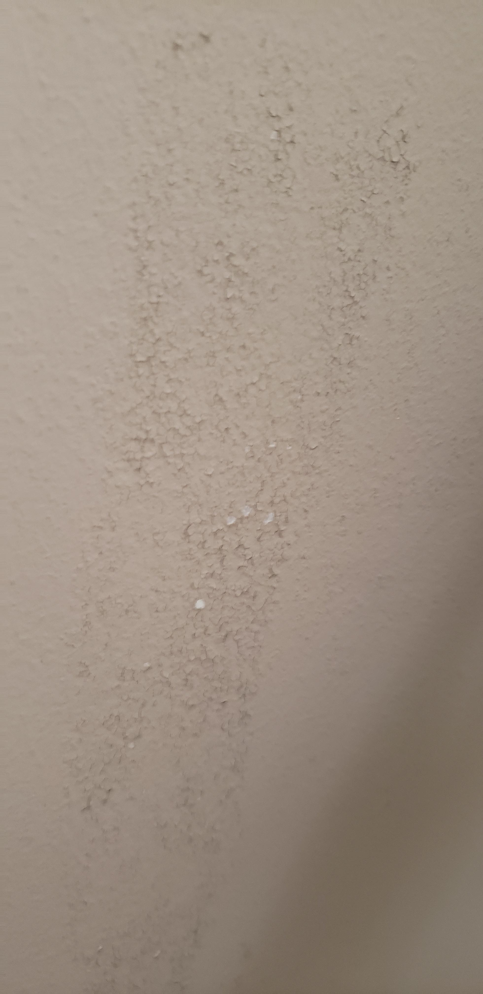 What does this paint mean? New home owner and we found this on the