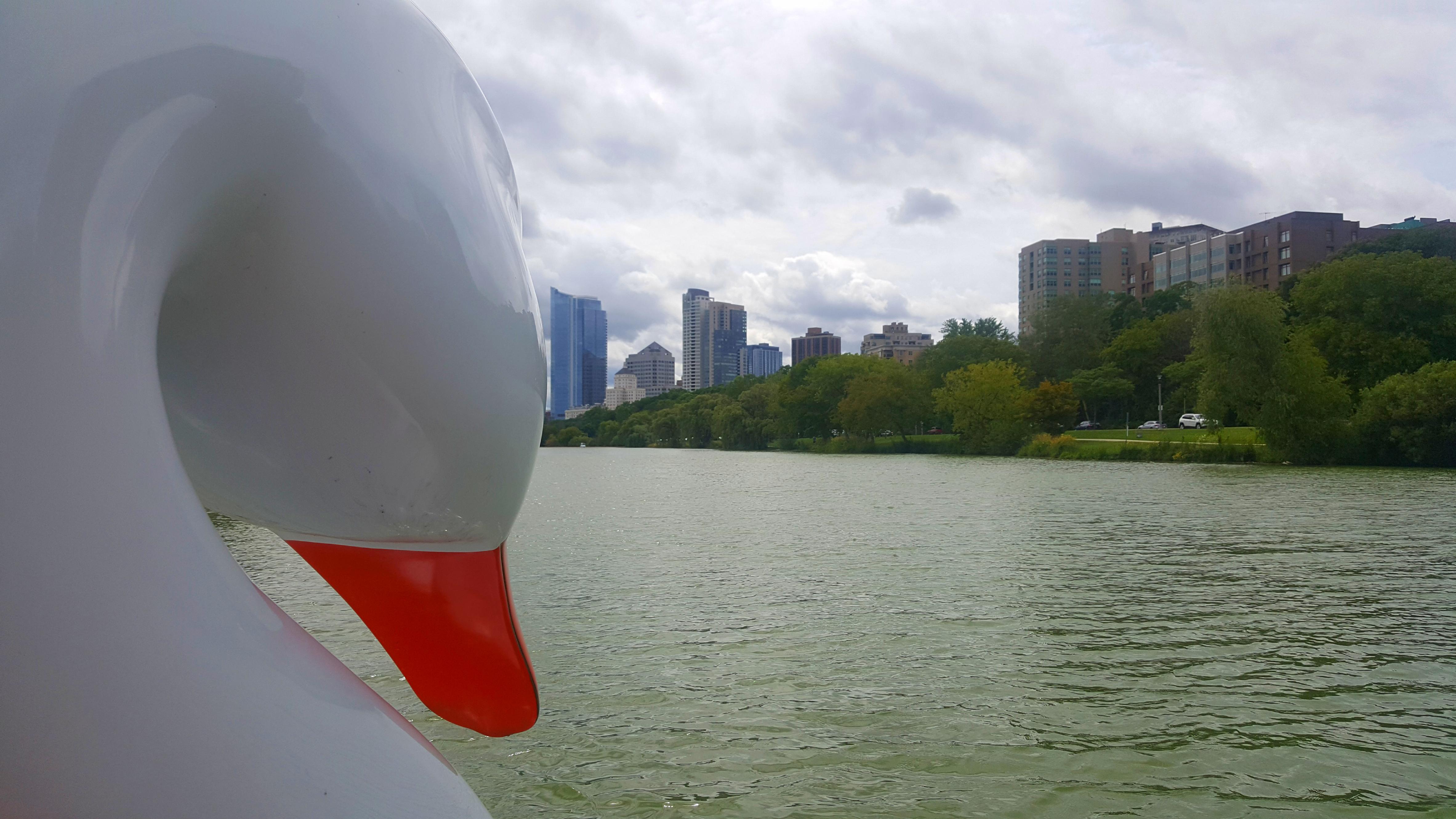 Crossed Swan Boats off our Milwaukee summer check list r/milwaukee