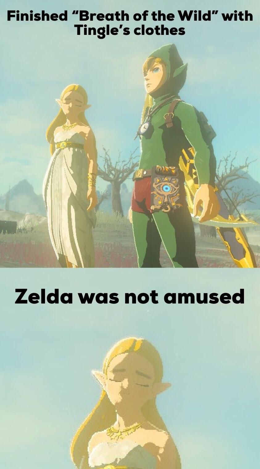 [BoTW] anyone else finish botw with tingle clothes? r/zelda