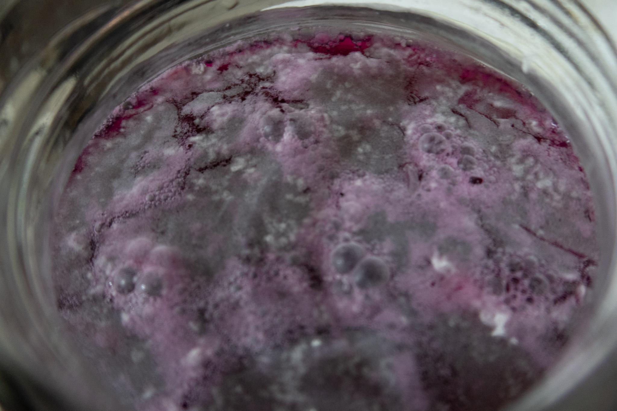 Beet Kvass has developed a thin film of yeast or mold? I am not sure how to tell. it developed