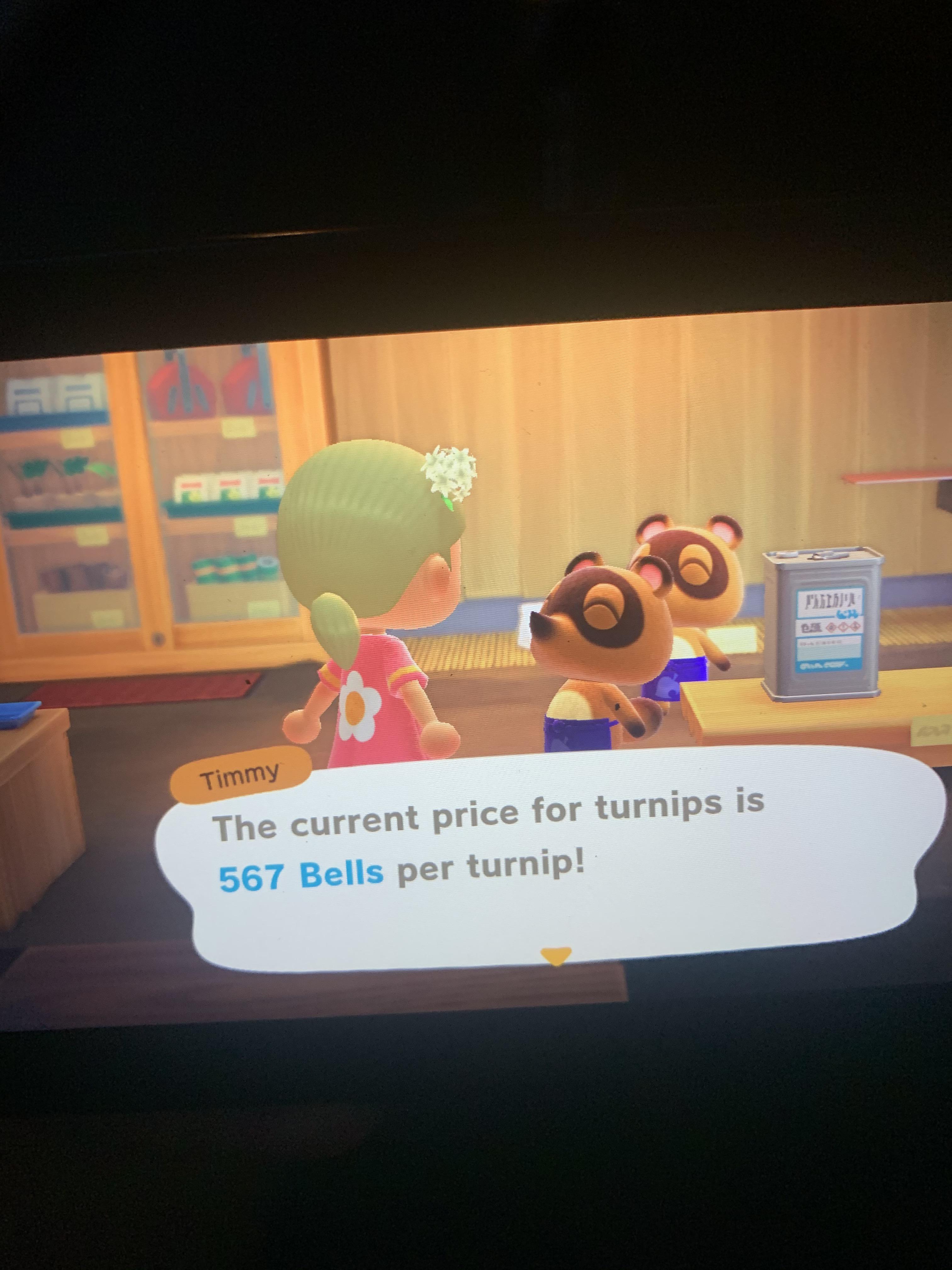 500+ turnip prices!! r/AnimalCrossing