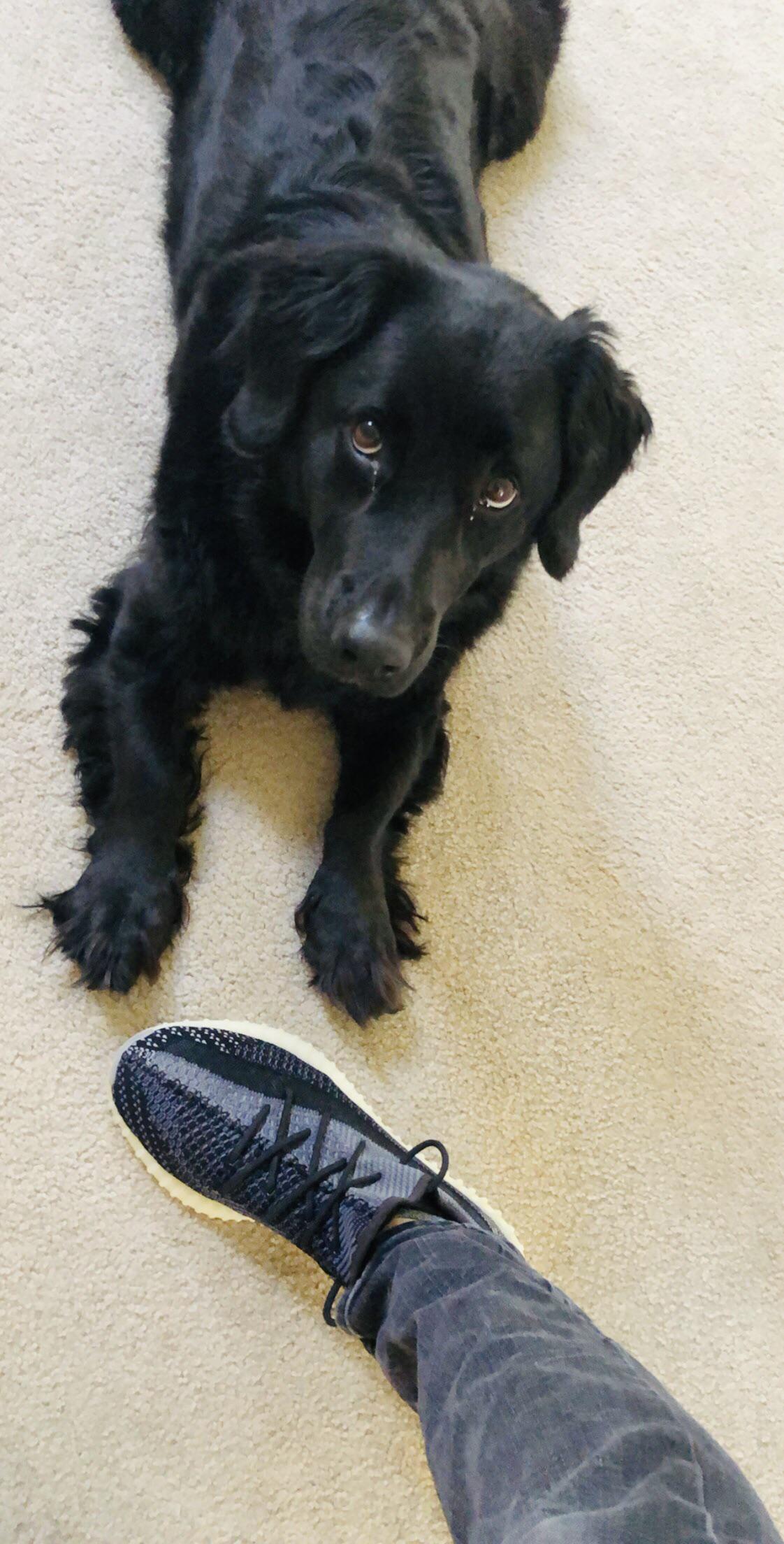 I know there are a lot of Carbon posts right now, but this is the only