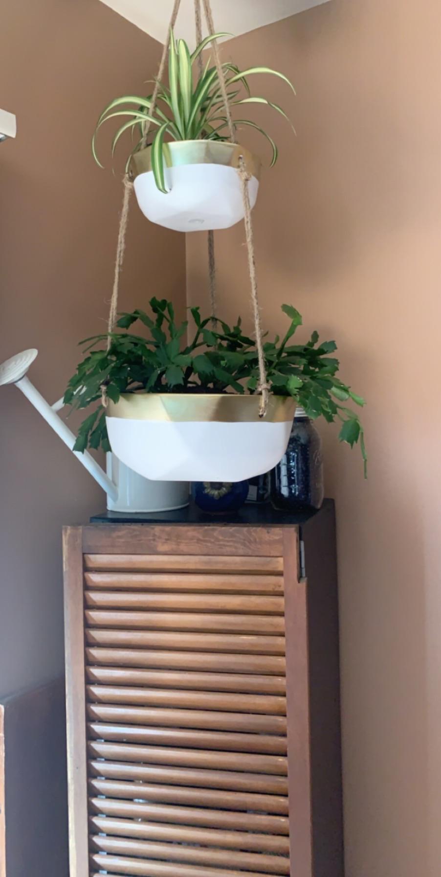 Aldi for the win with this double hanging pot set! Glad we bought 2 of