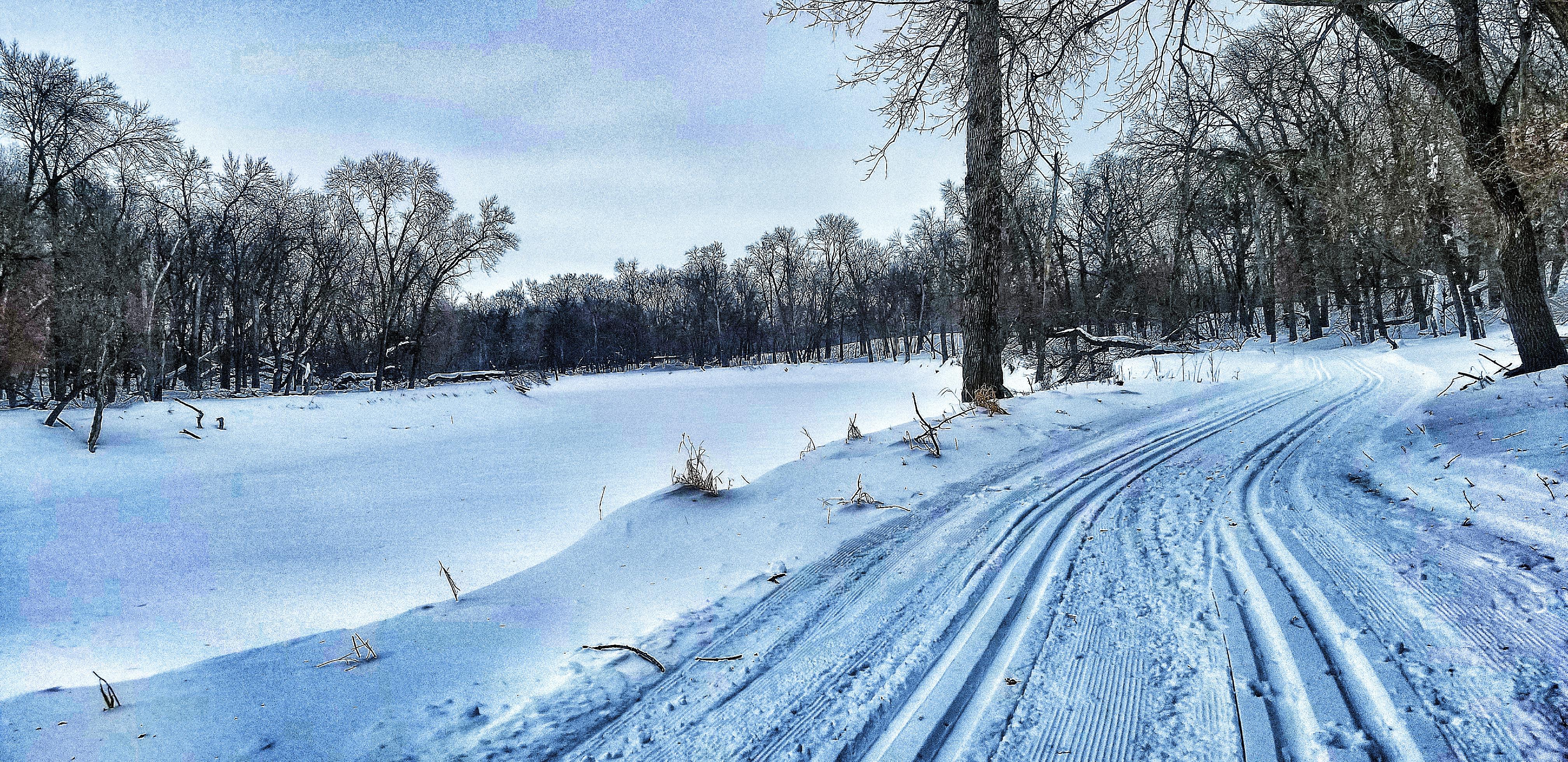 Skiing Edgewood Nordic Classic Trails, Fargo, No. Dak., U. S. A. r