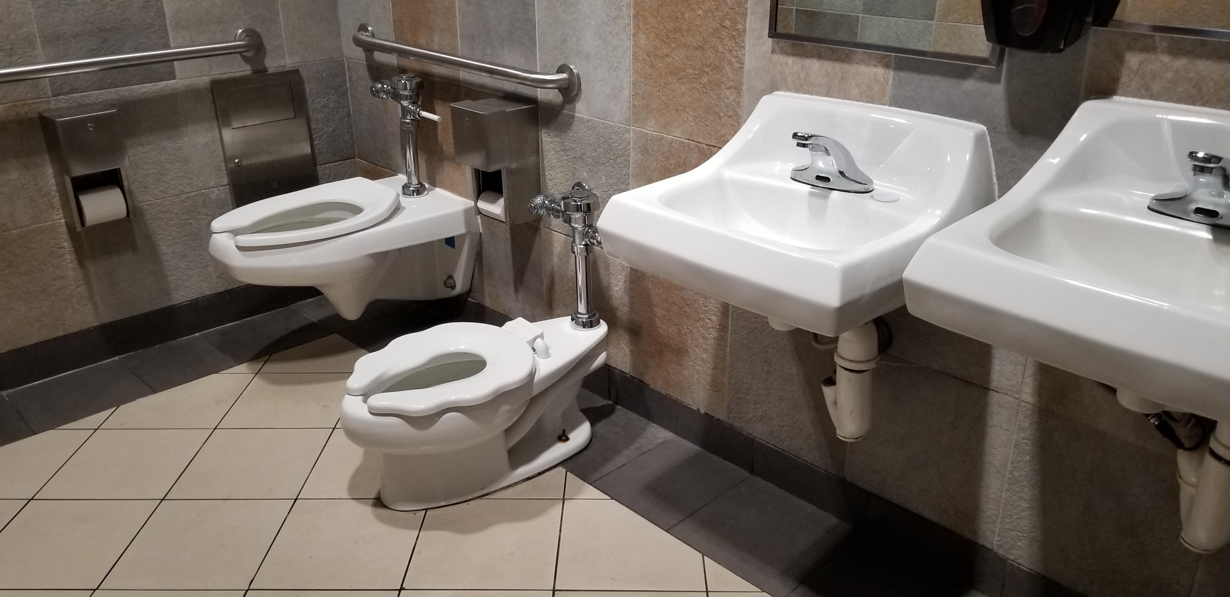 This shopping mall has 2 different sized toilets in the family restroom r/mildlyinteresting