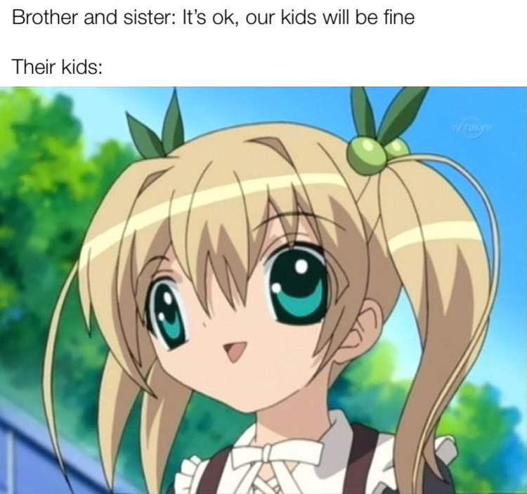 Sweet Home Alabama r/Animemes