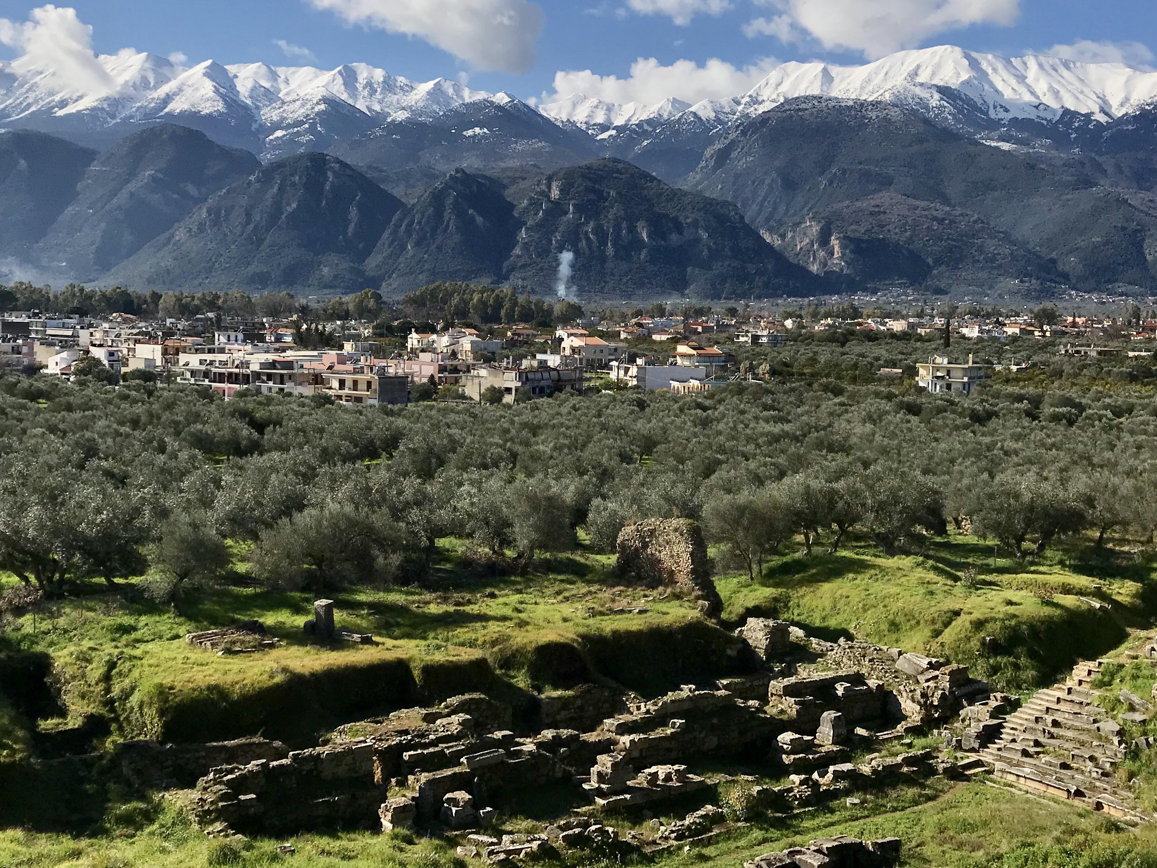 Ruins of ancient Sparta. In the background is an olive grove, followed