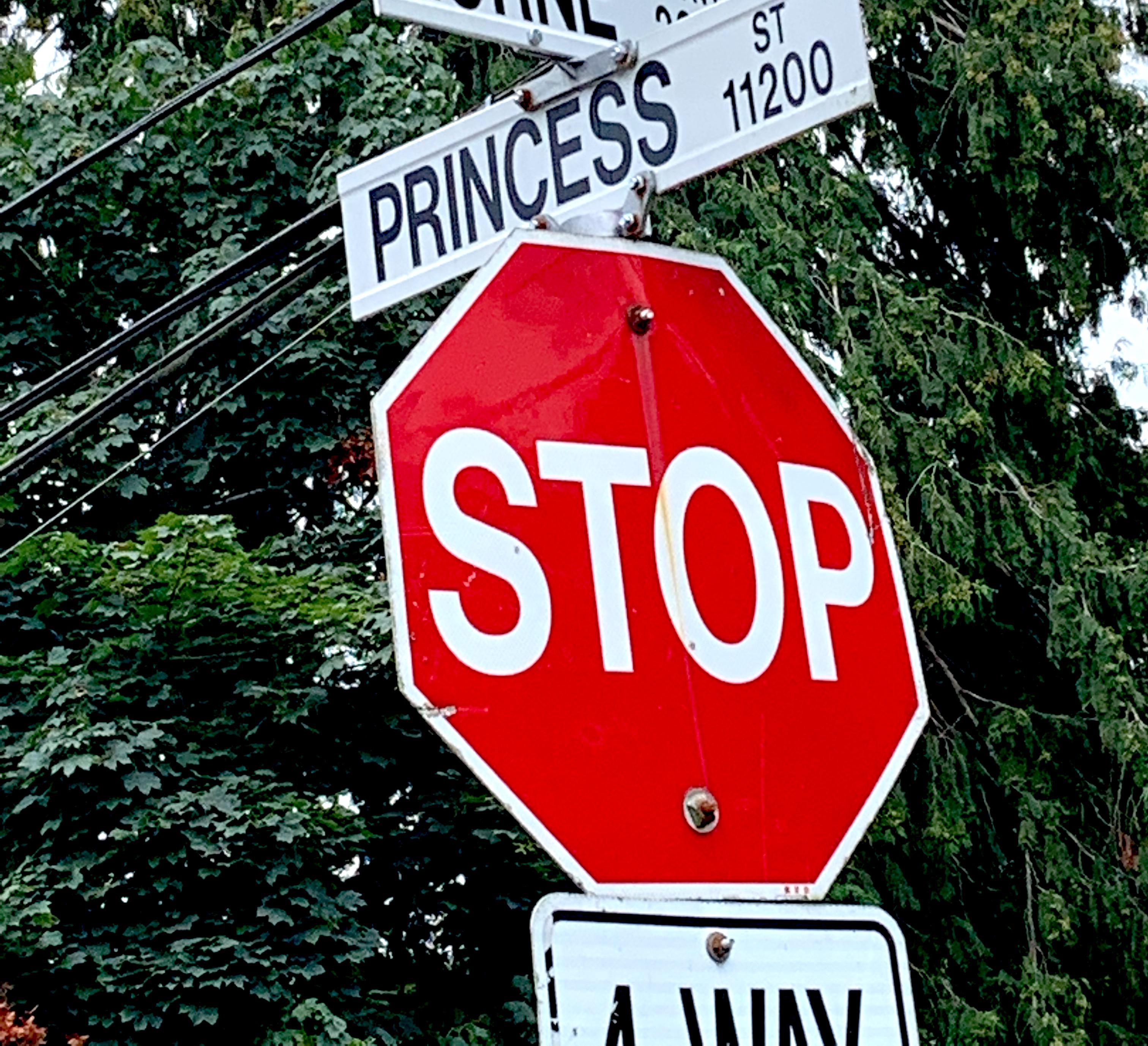Princess street! r/disneyprincess