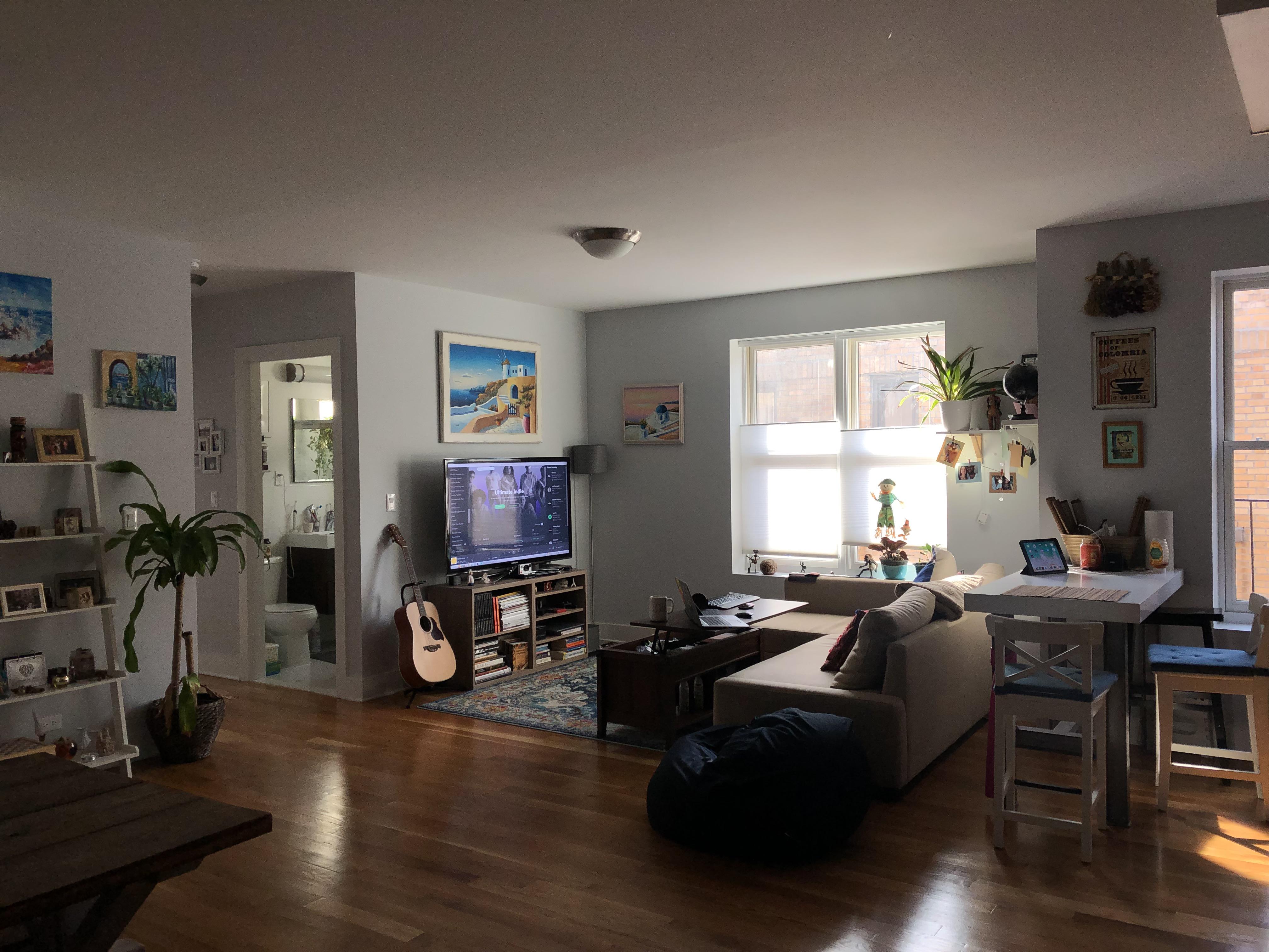 My living room. Bronx New York r/AmateurRoomPorn